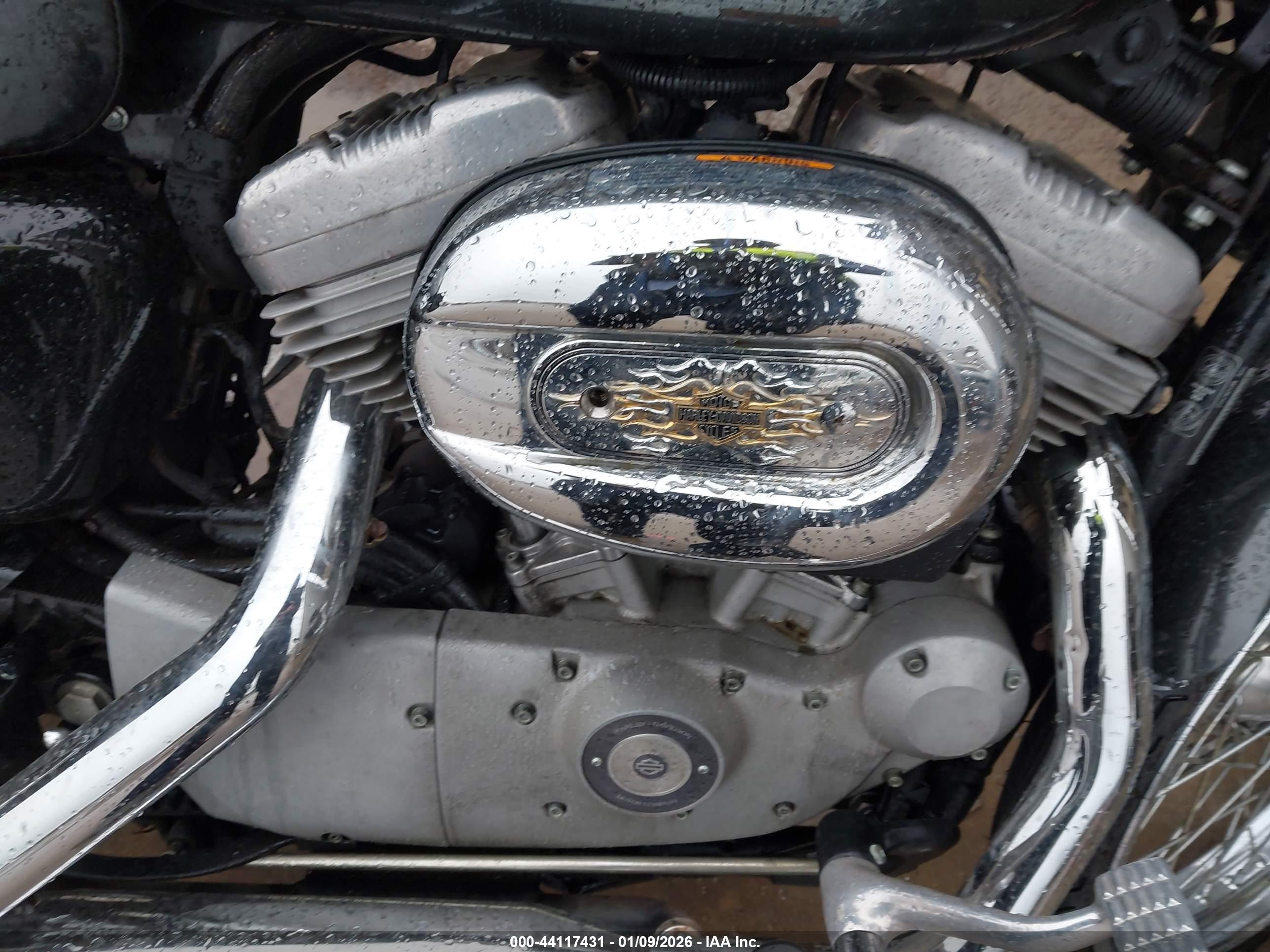 HARLEY-DAVIDSON XL883 image 8
