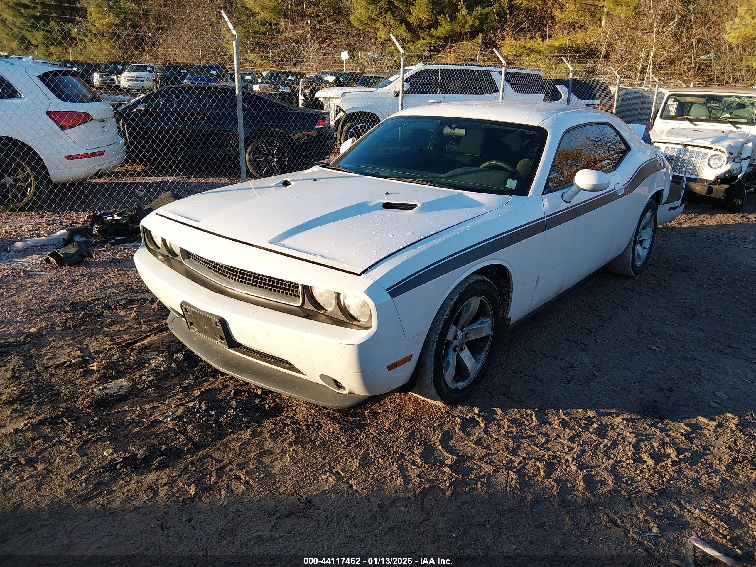DODGE CHALLENGER image 2