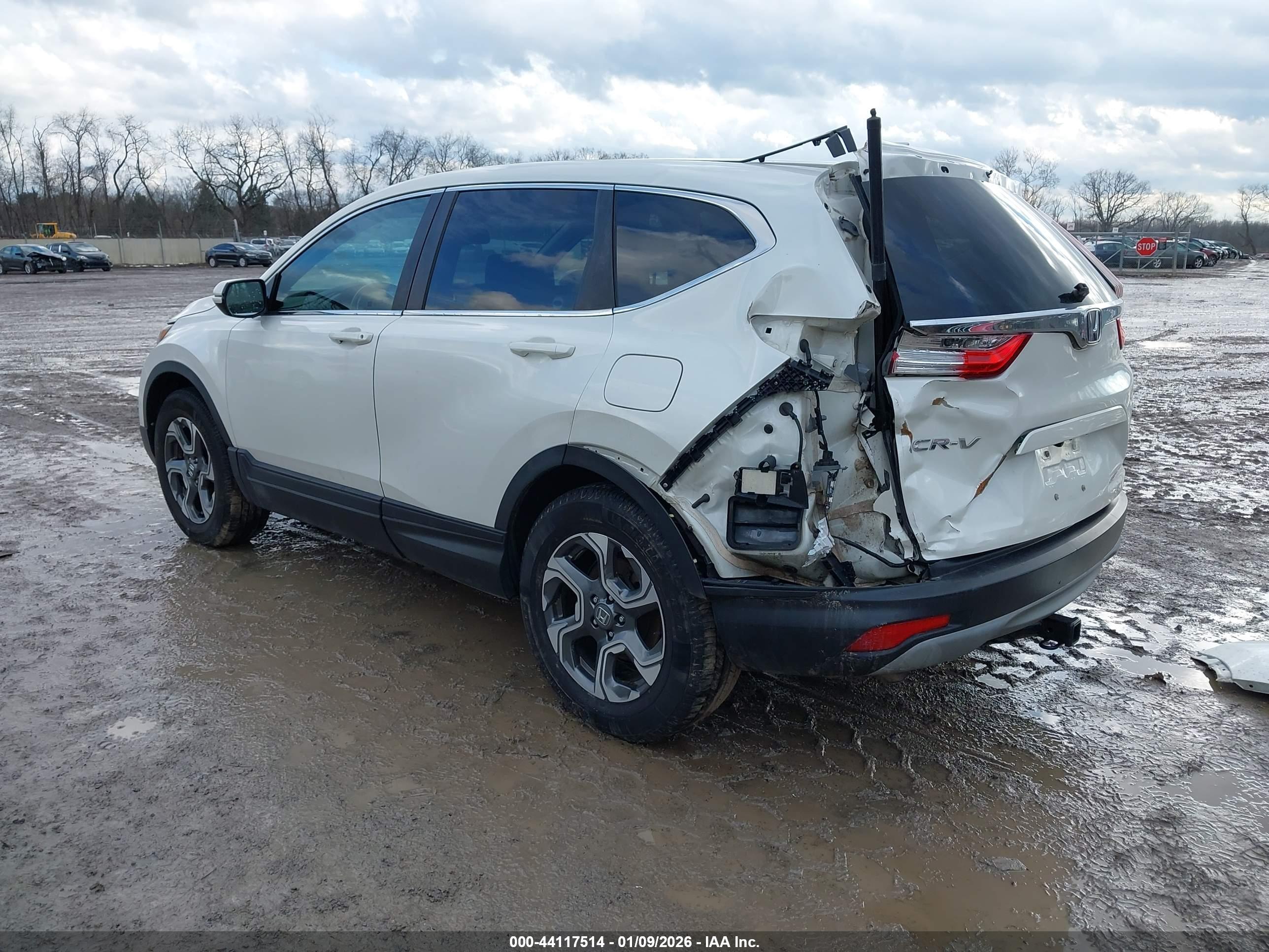 HONDA CR-V image 3