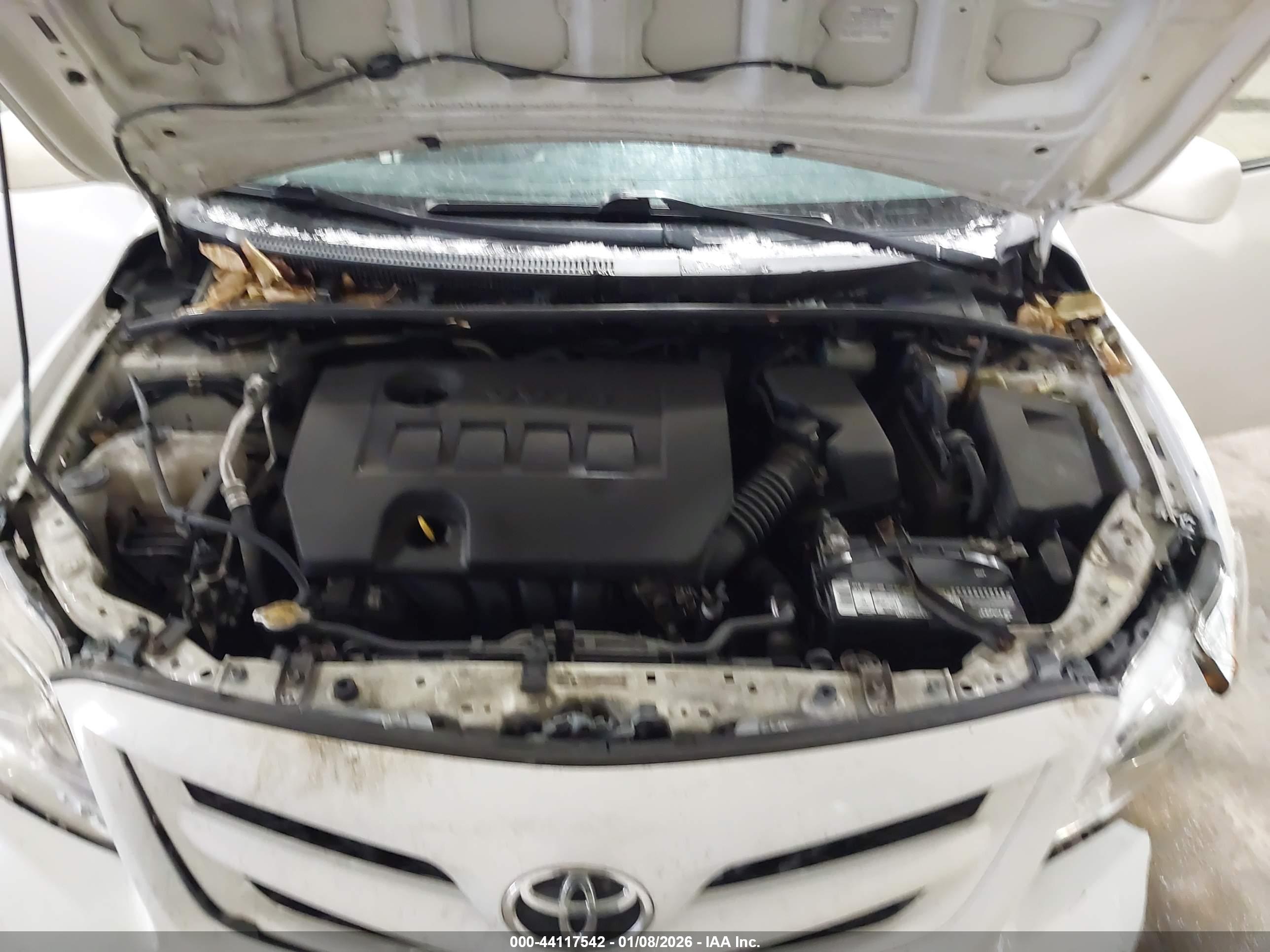 TOYOTA COROLLA image 10