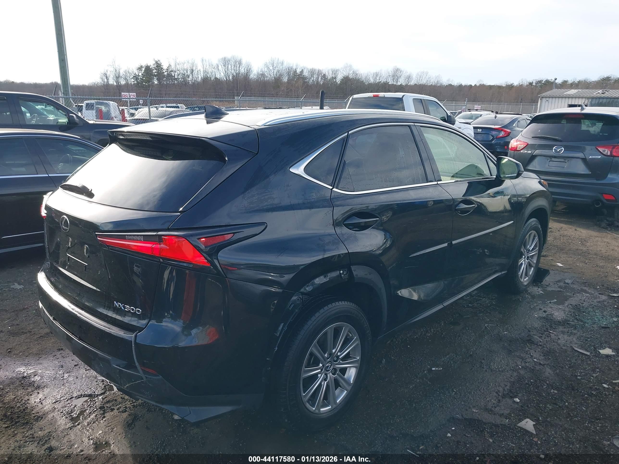 LEXUS NX image 4