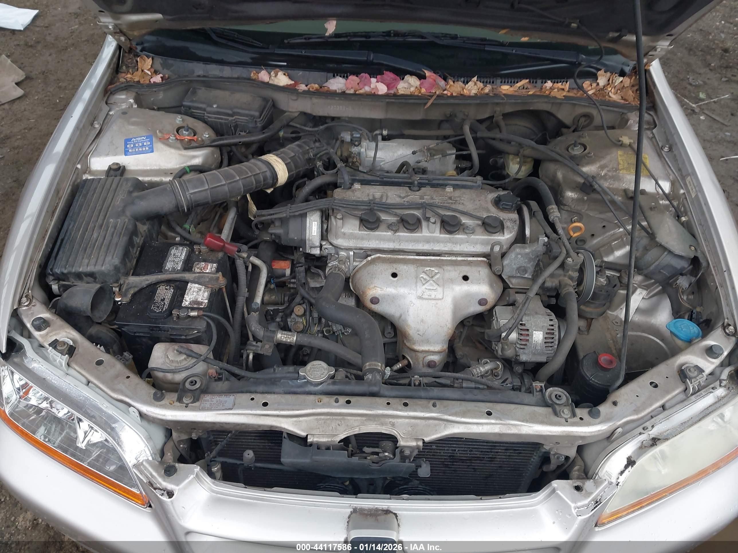 HONDA ACCORD image 10