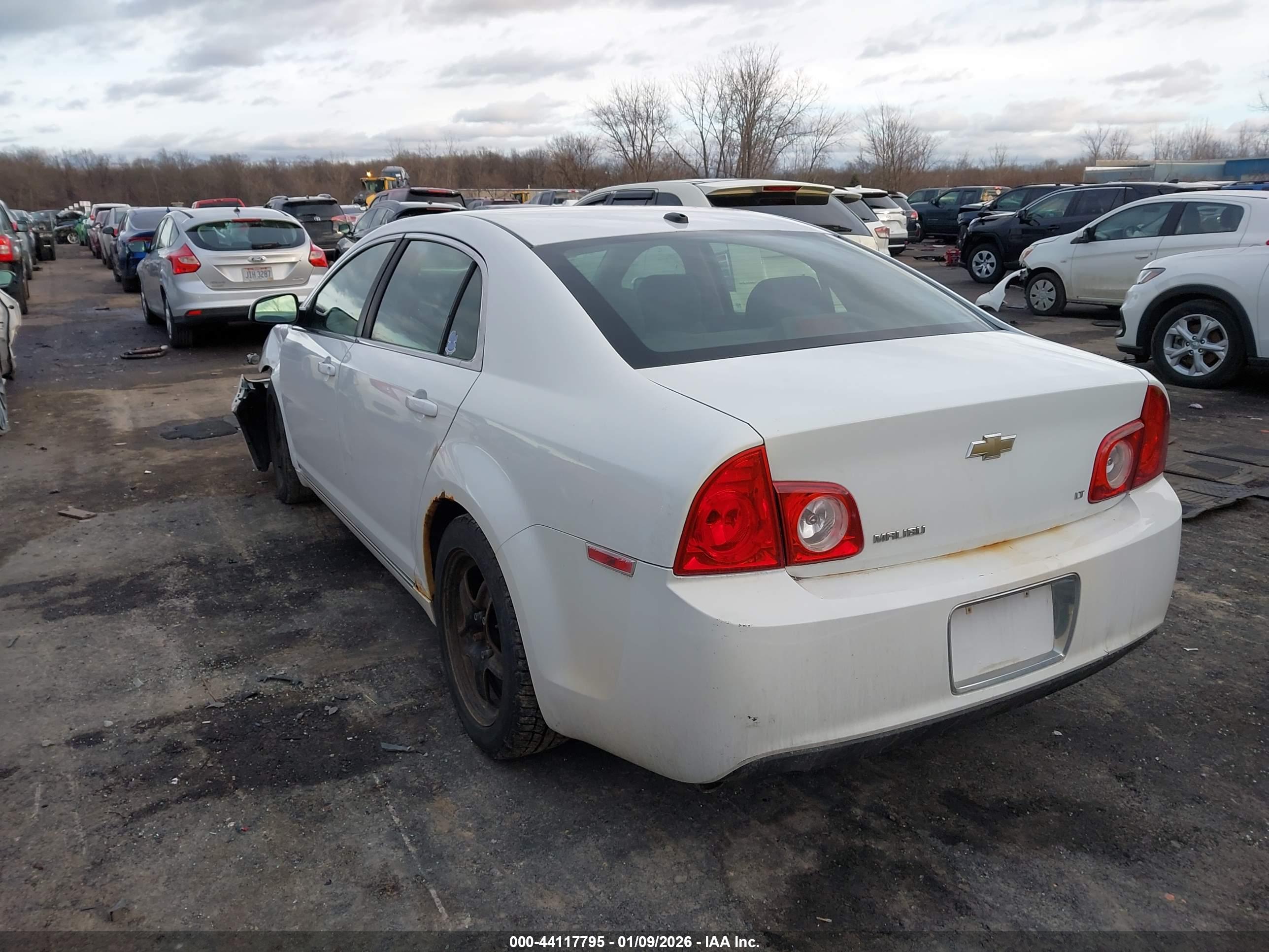 CHEVROLET MALIBU image 3