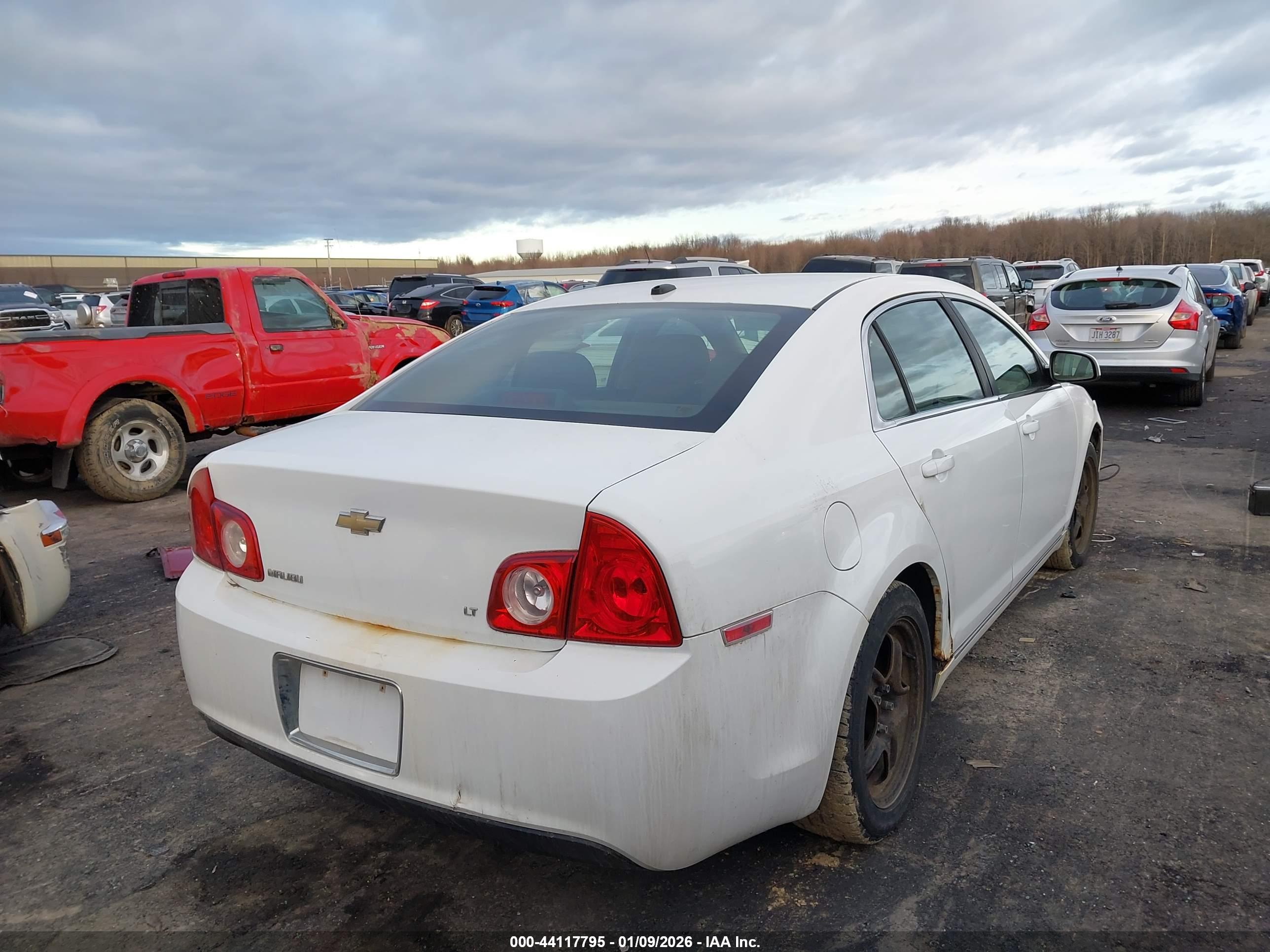 CHEVROLET MALIBU image 4