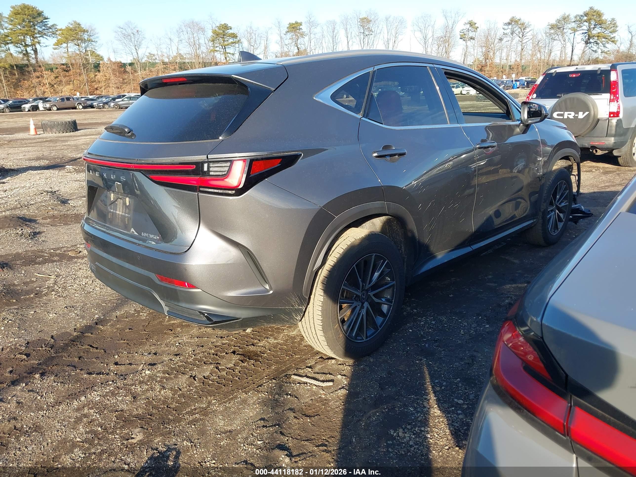 LEXUS NX image 4