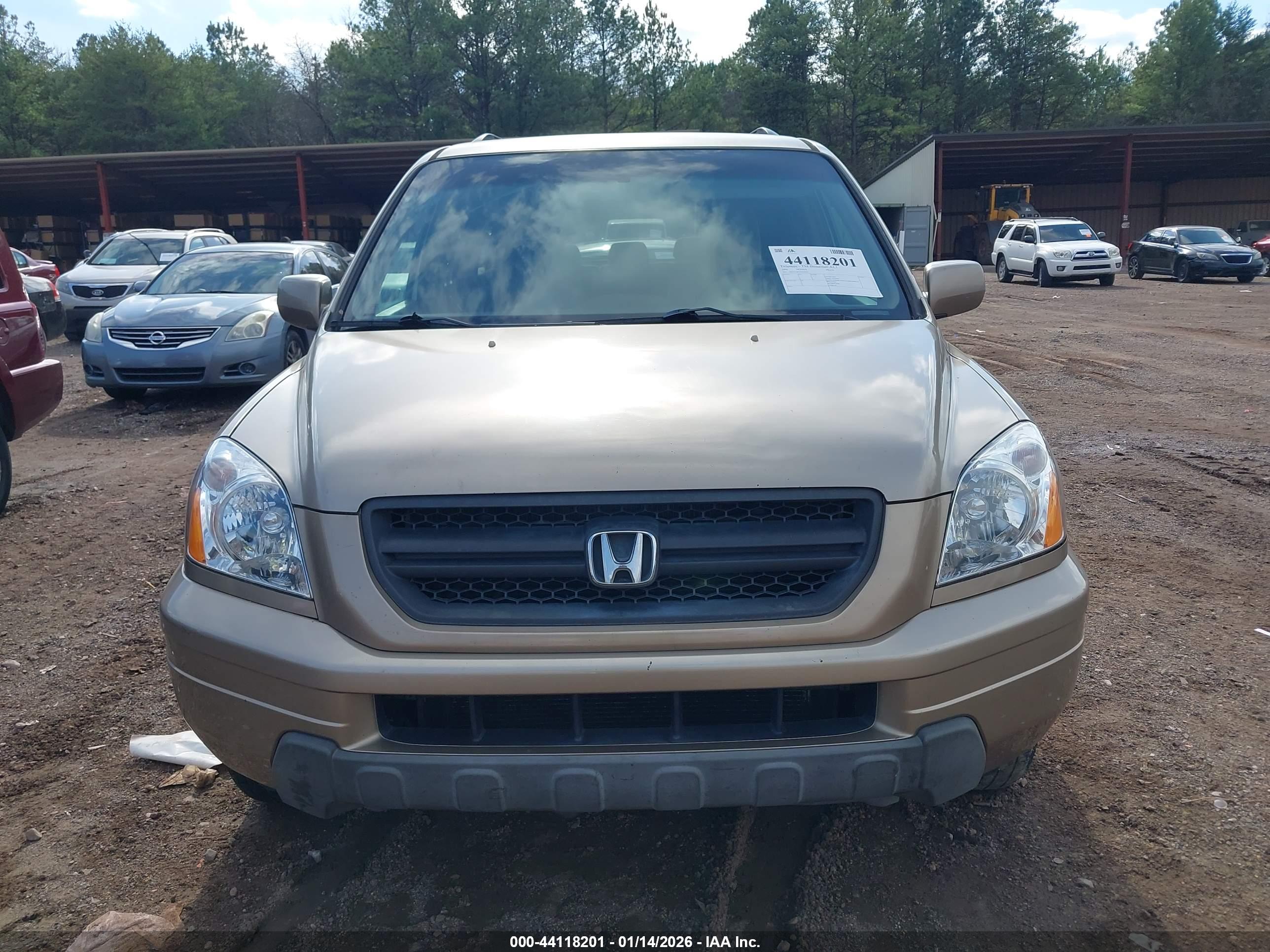 HONDA PILOT image 6