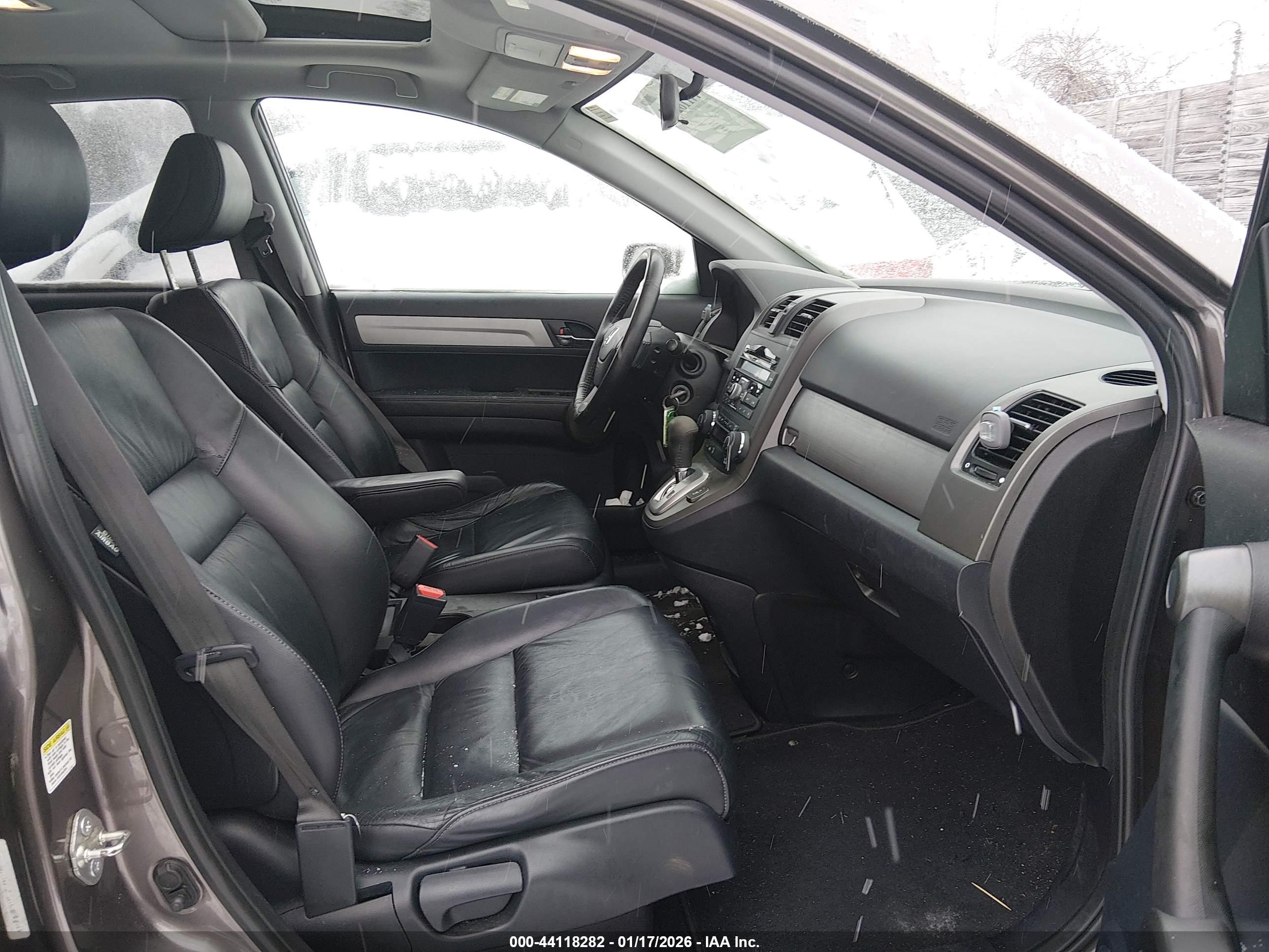 HONDA CR-V image 5