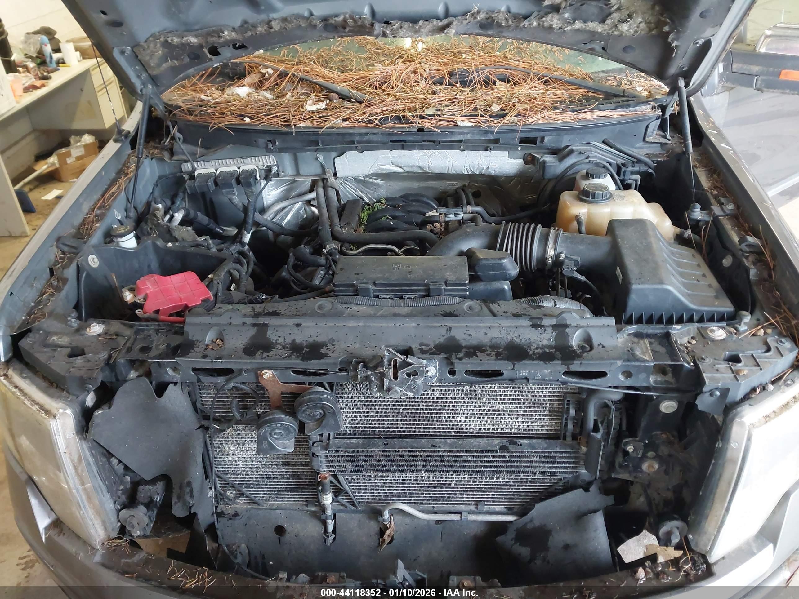 FORD F-150 image 10