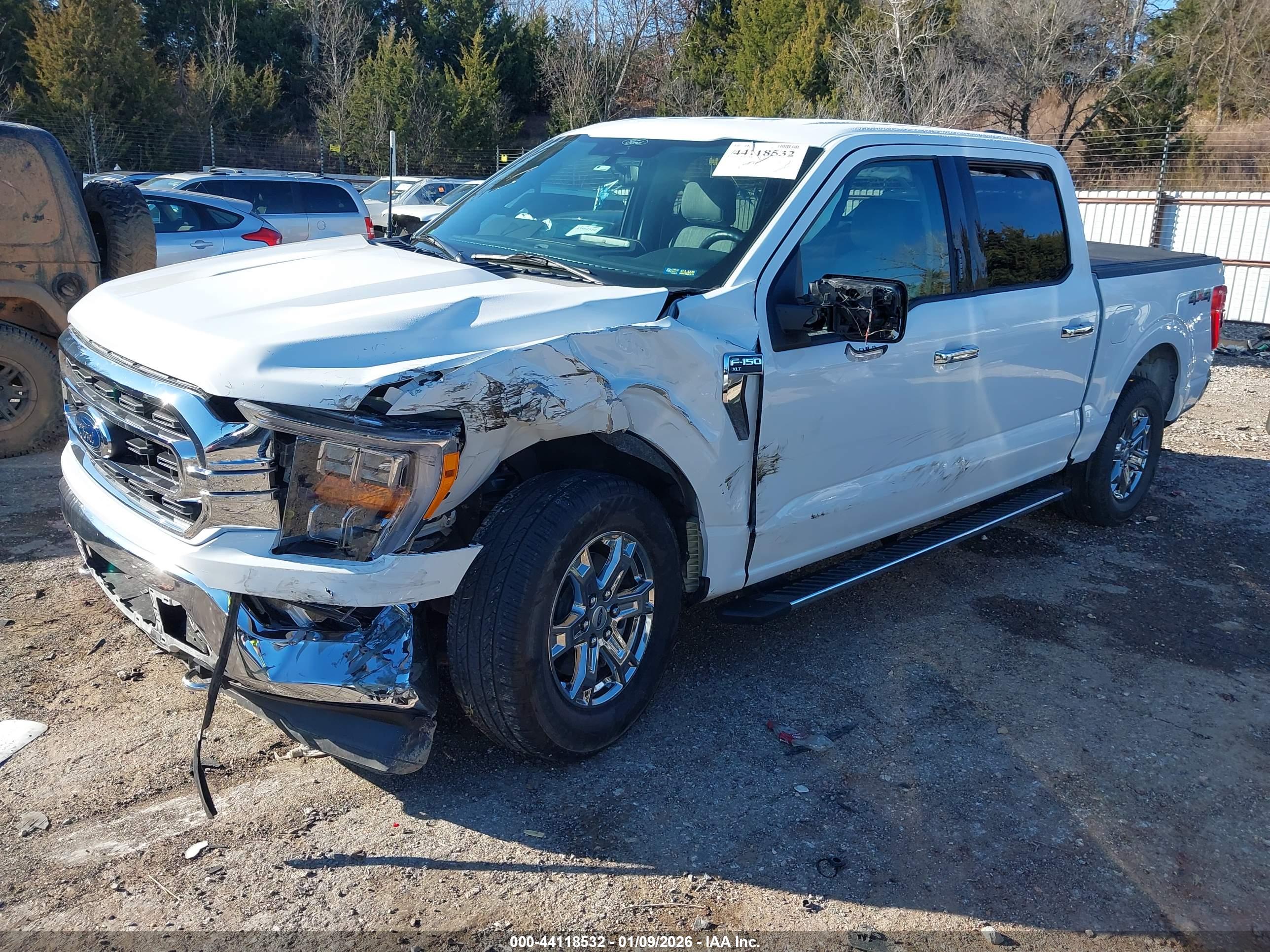 FORD F-150 image 2