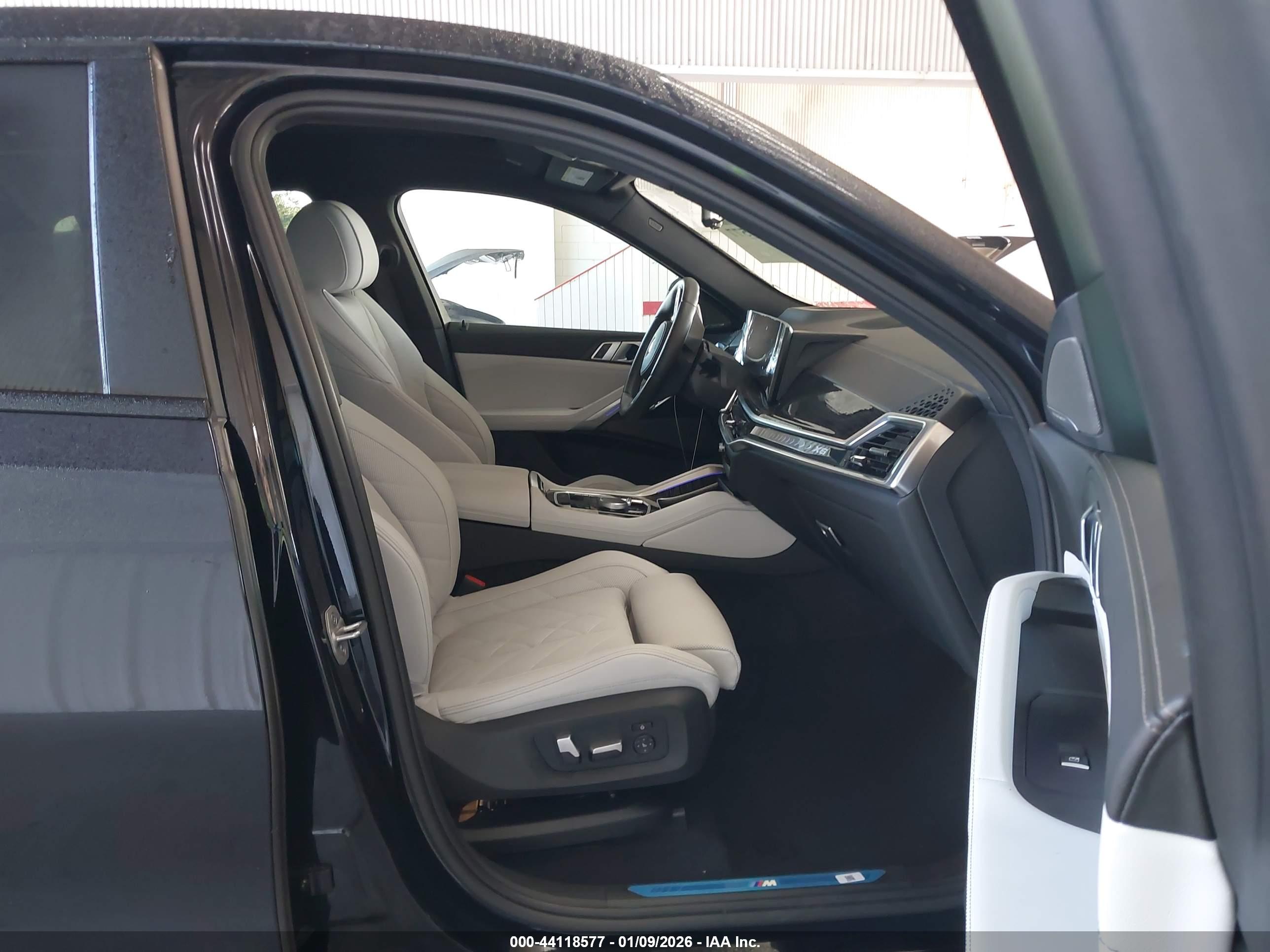 BMW X6 image 5