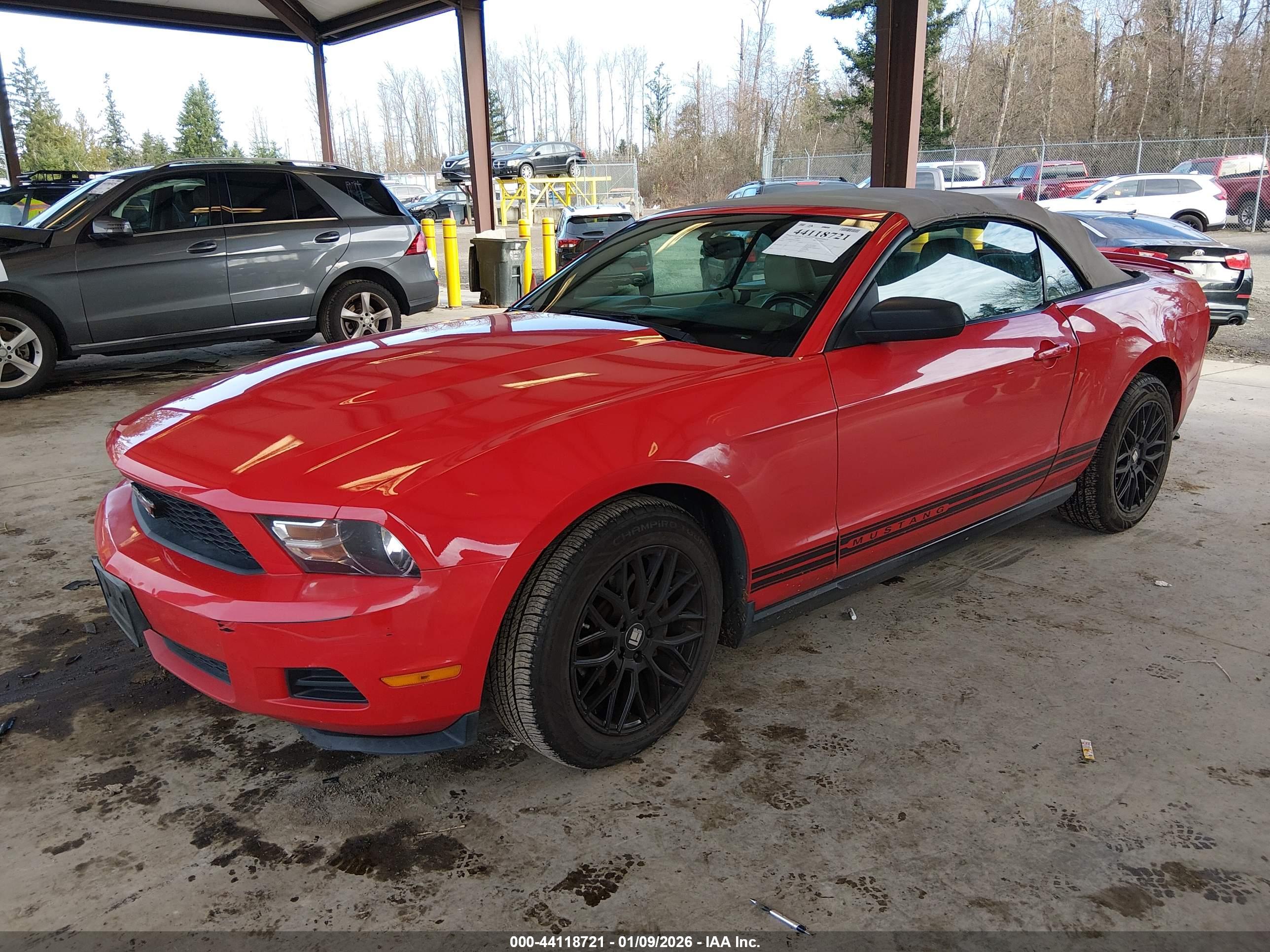 FORD MUSTANG image 2
