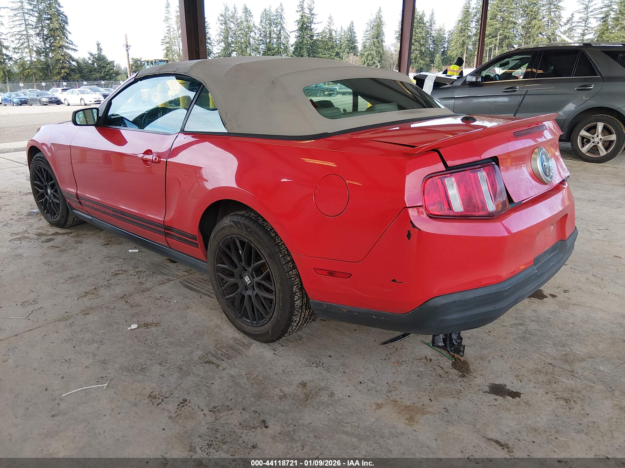 FORD MUSTANG image 3