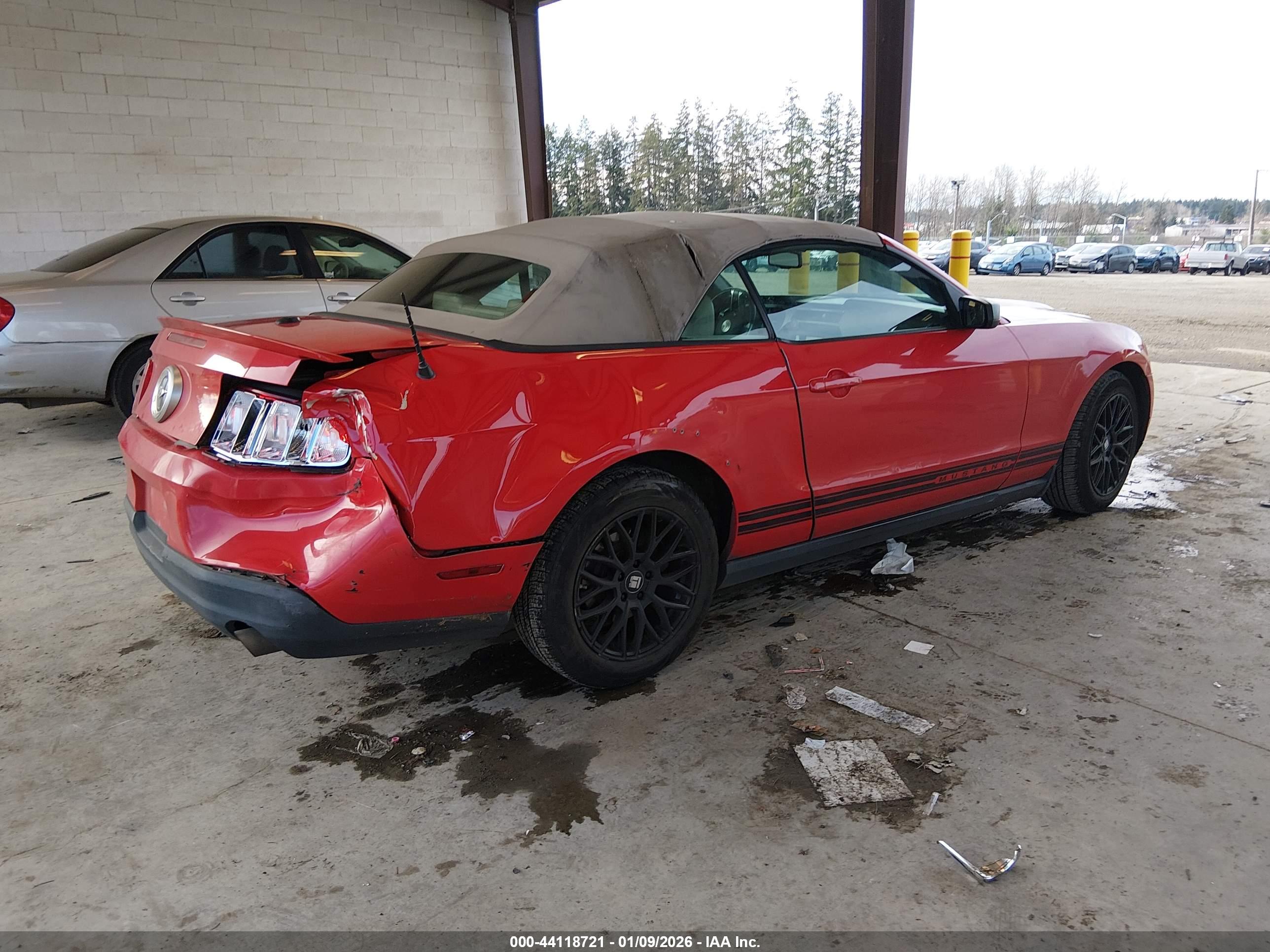 FORD MUSTANG image 4