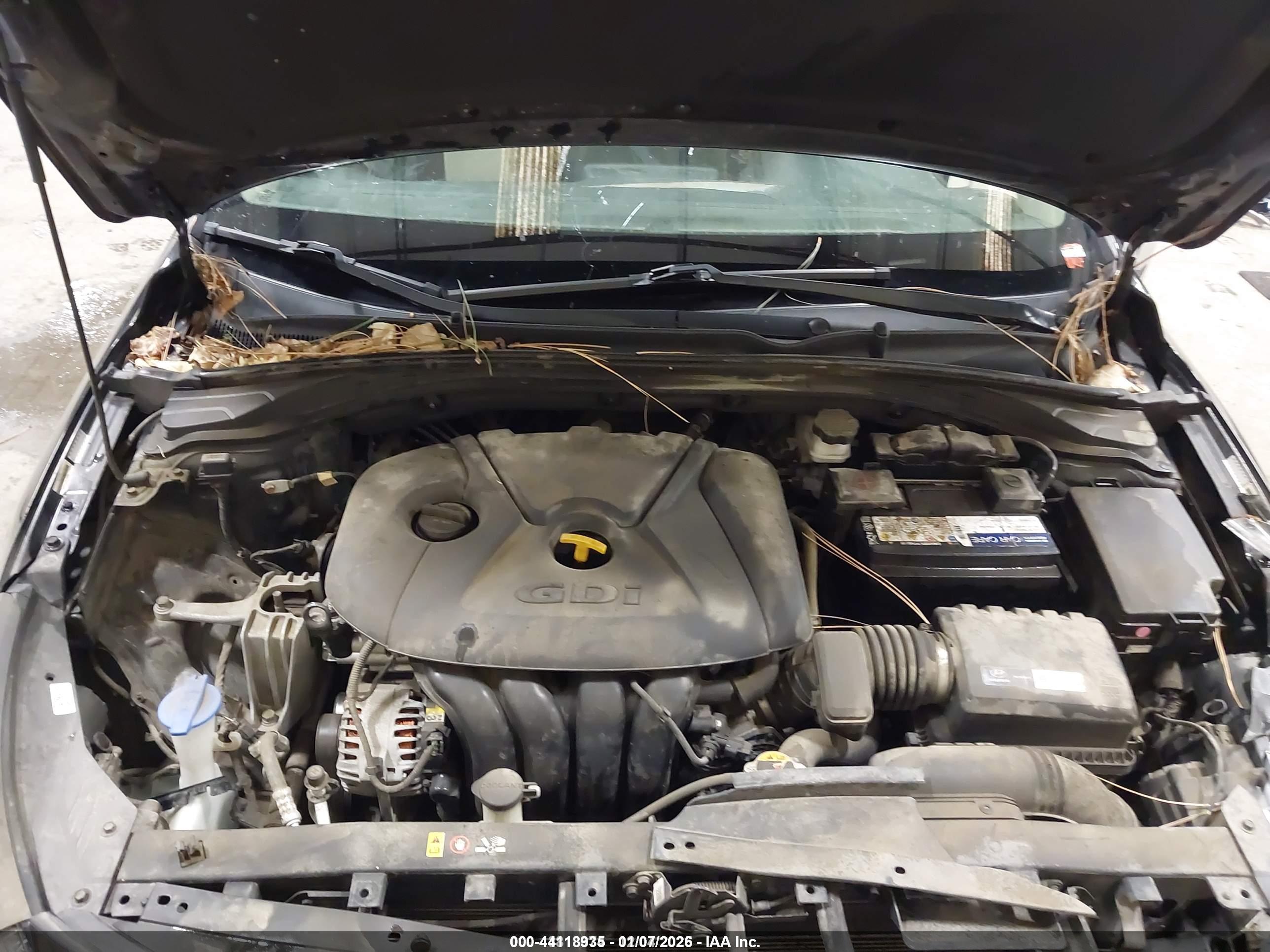 HYUNDAI ELANTRA image 10