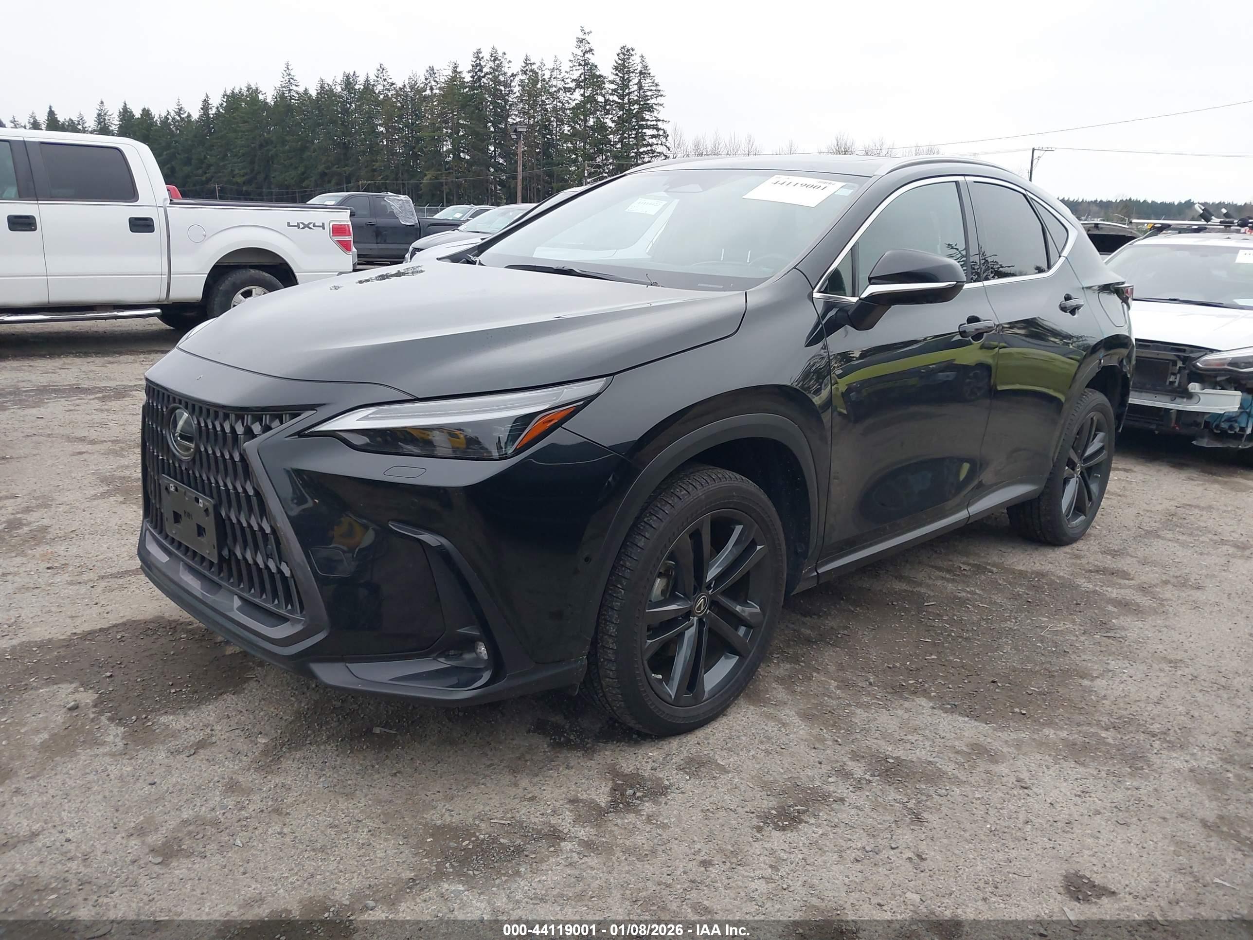 LEXUS NX image 2