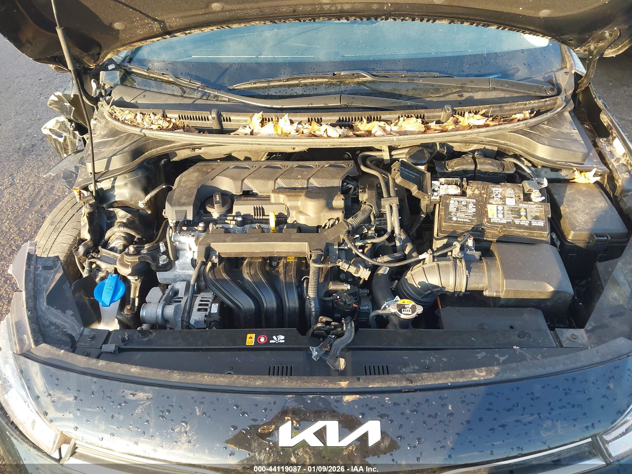KIA RIO image 10