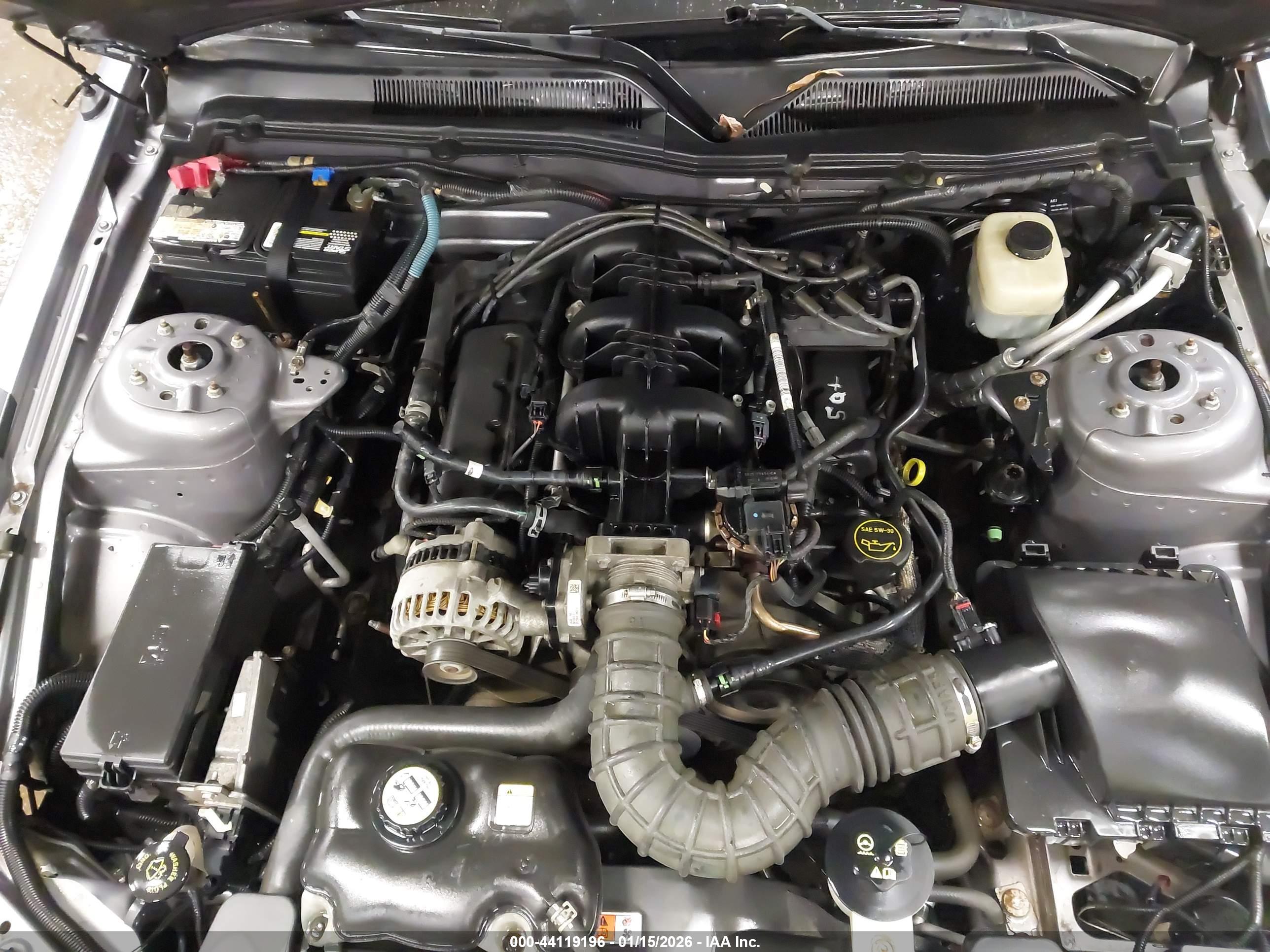 FORD MUSTANG image 10
