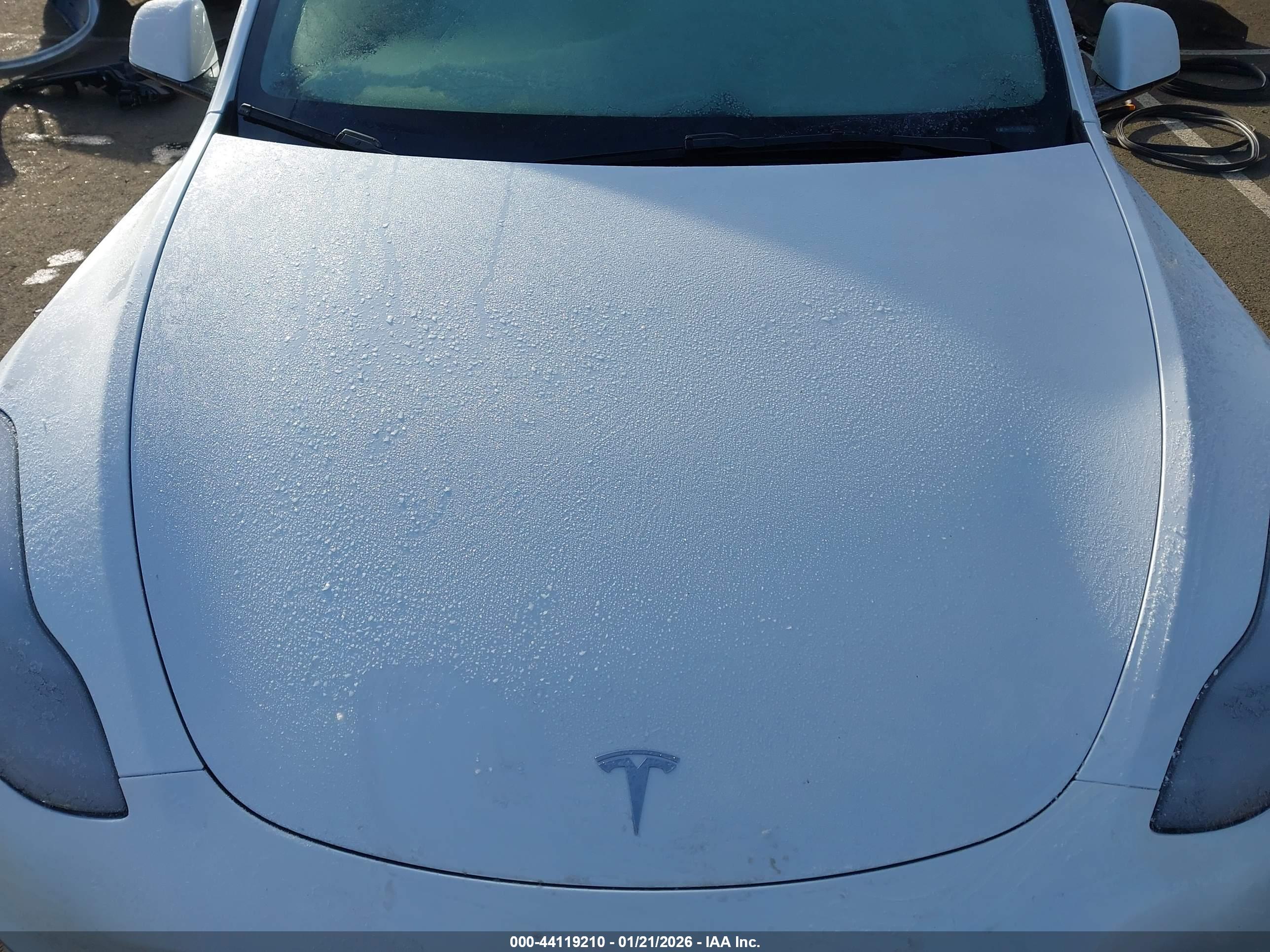 TESLA MODEL image 10
