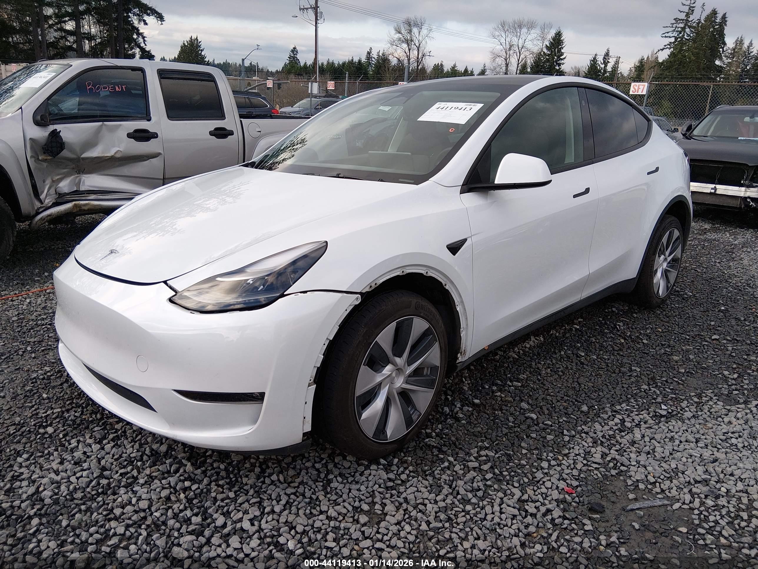 TESLA MODEL image 2