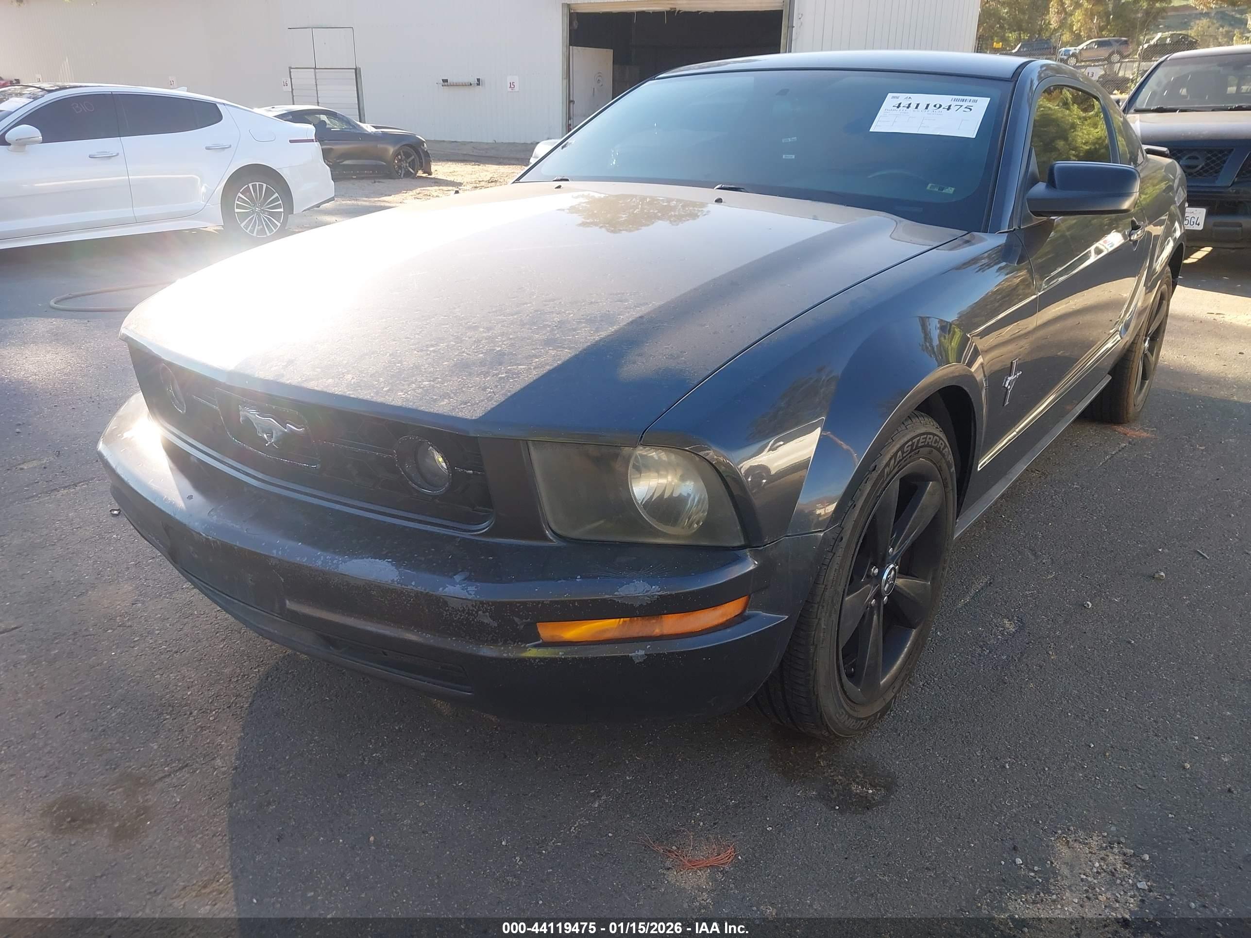 FORD MUSTANG image 2