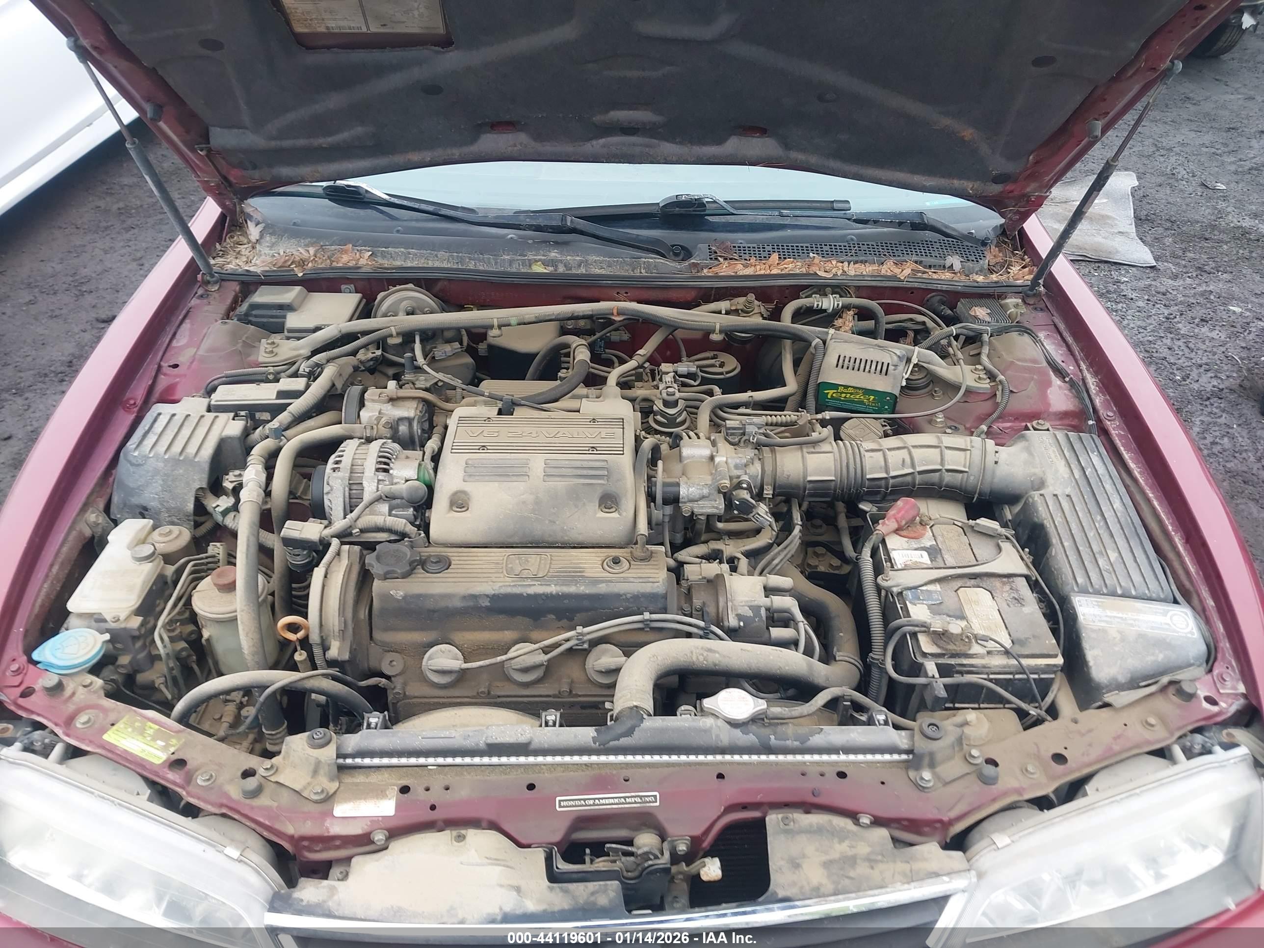 HONDA ACCORD image 10