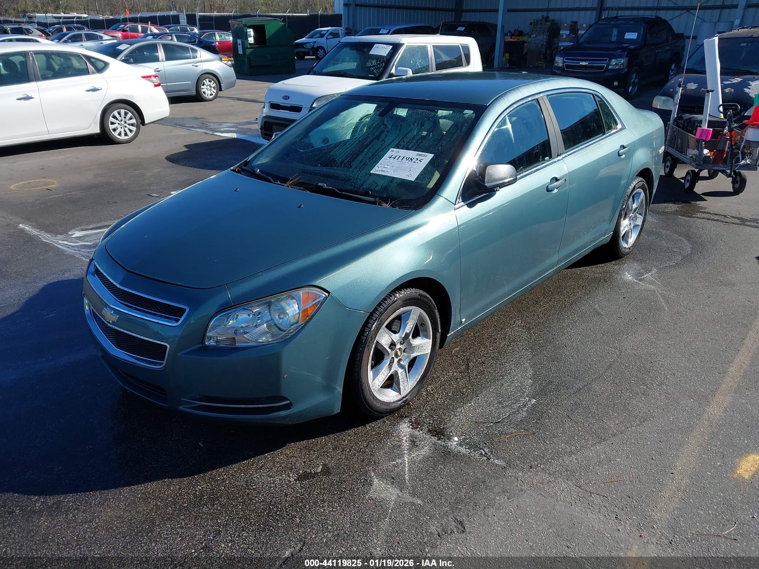 CHEVROLET MALIBU image 2