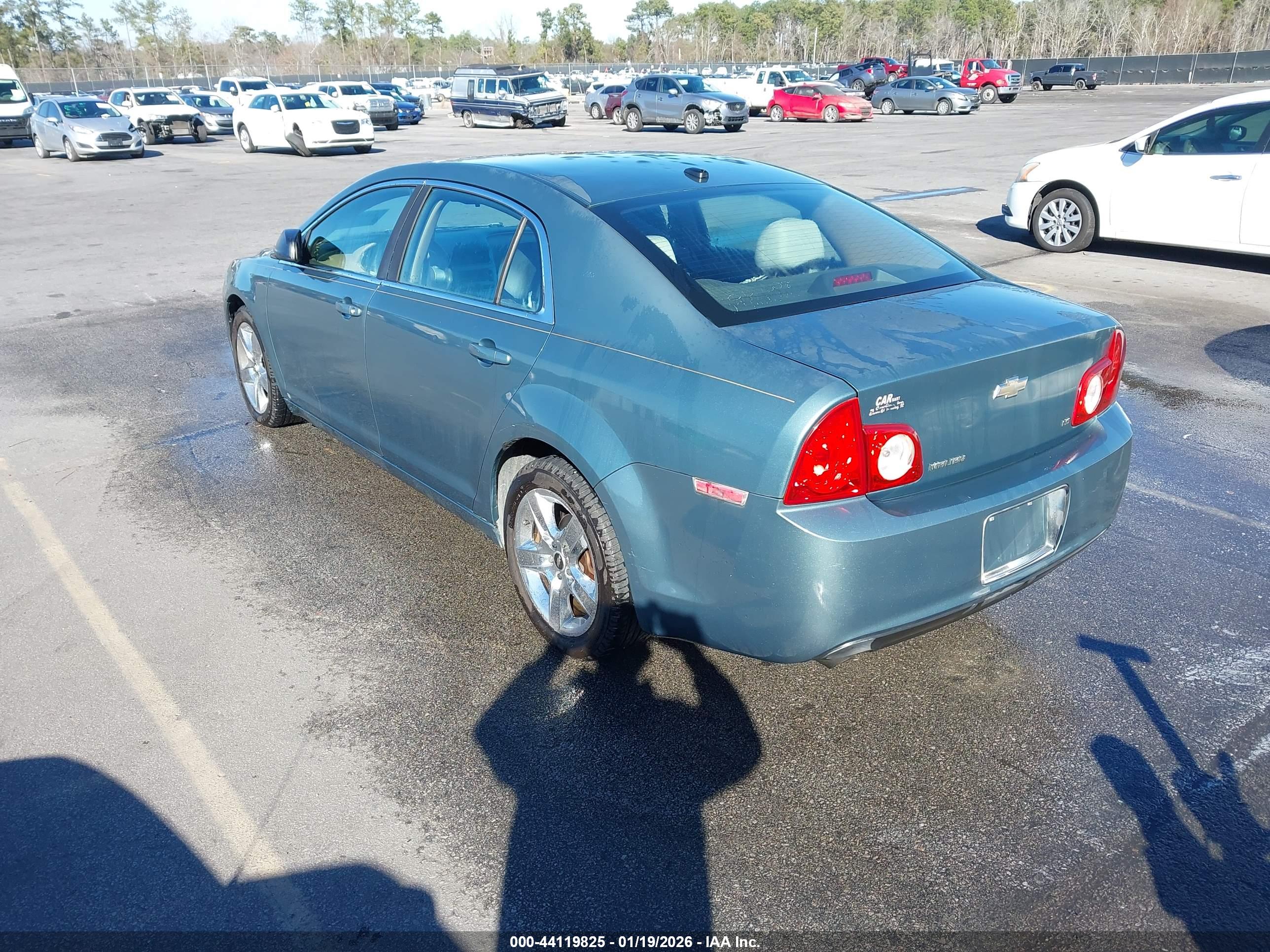 CHEVROLET MALIBU image 3