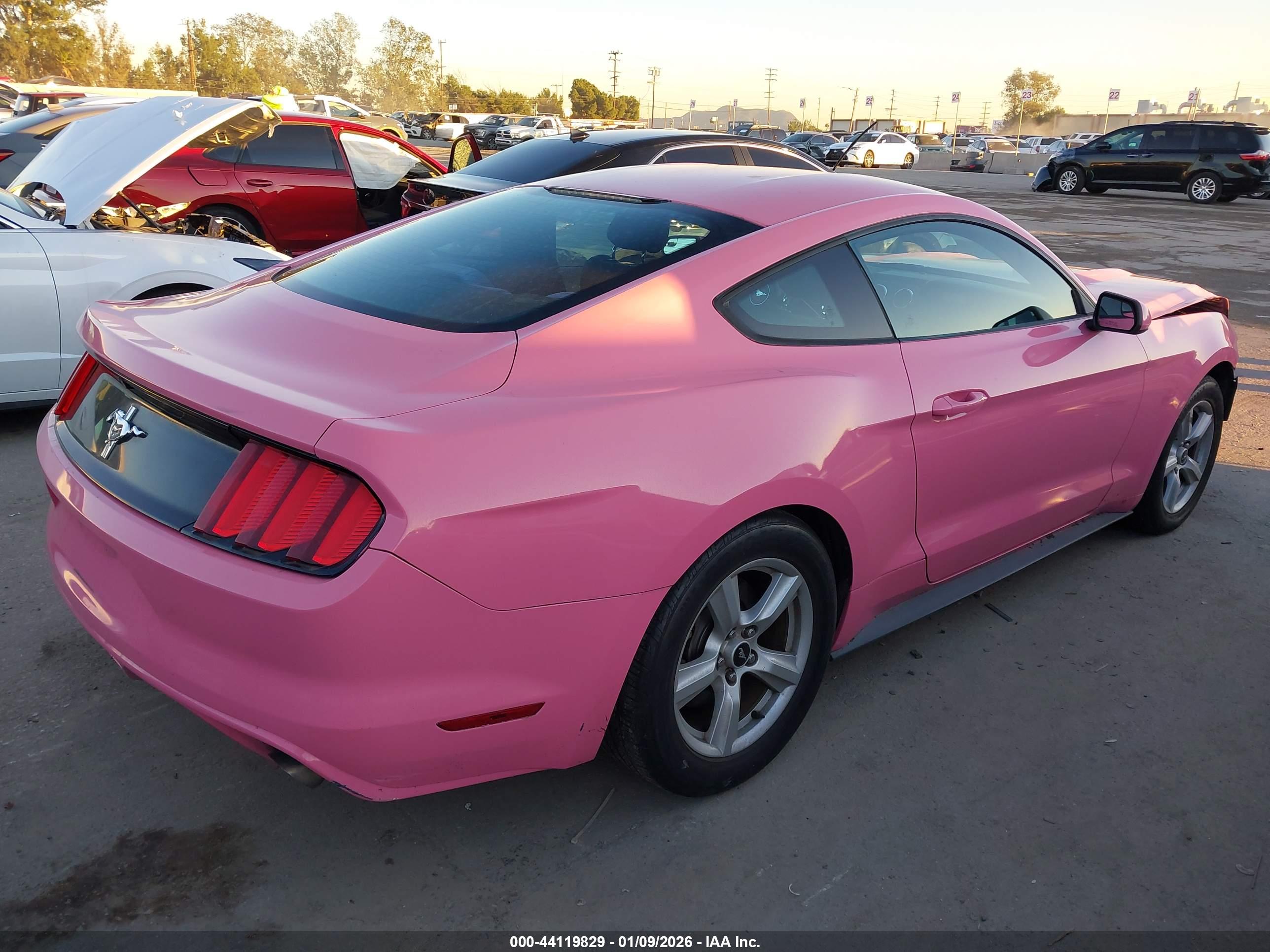FORD MUSTANG image 4