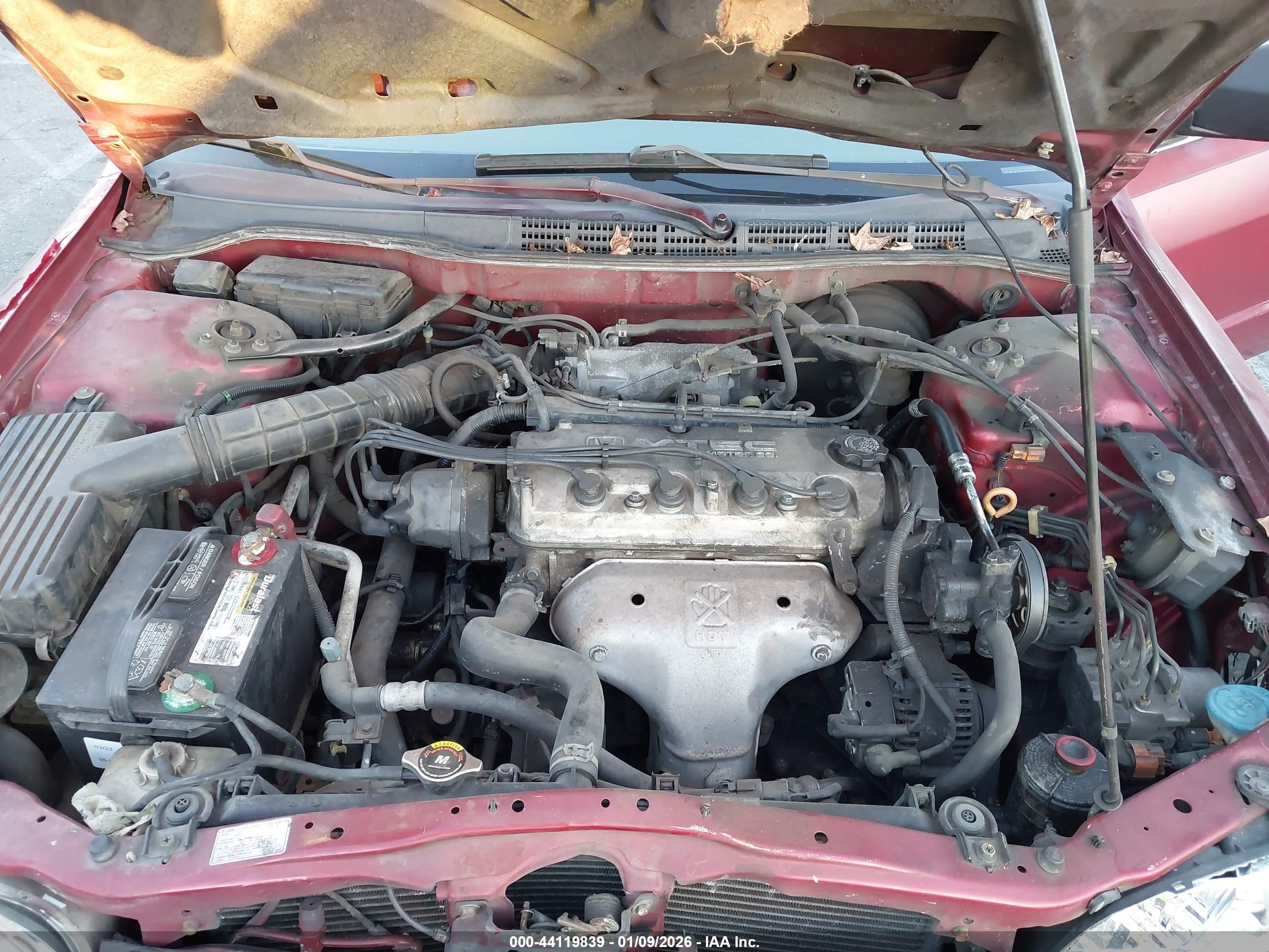 HONDA ACCORD image 10