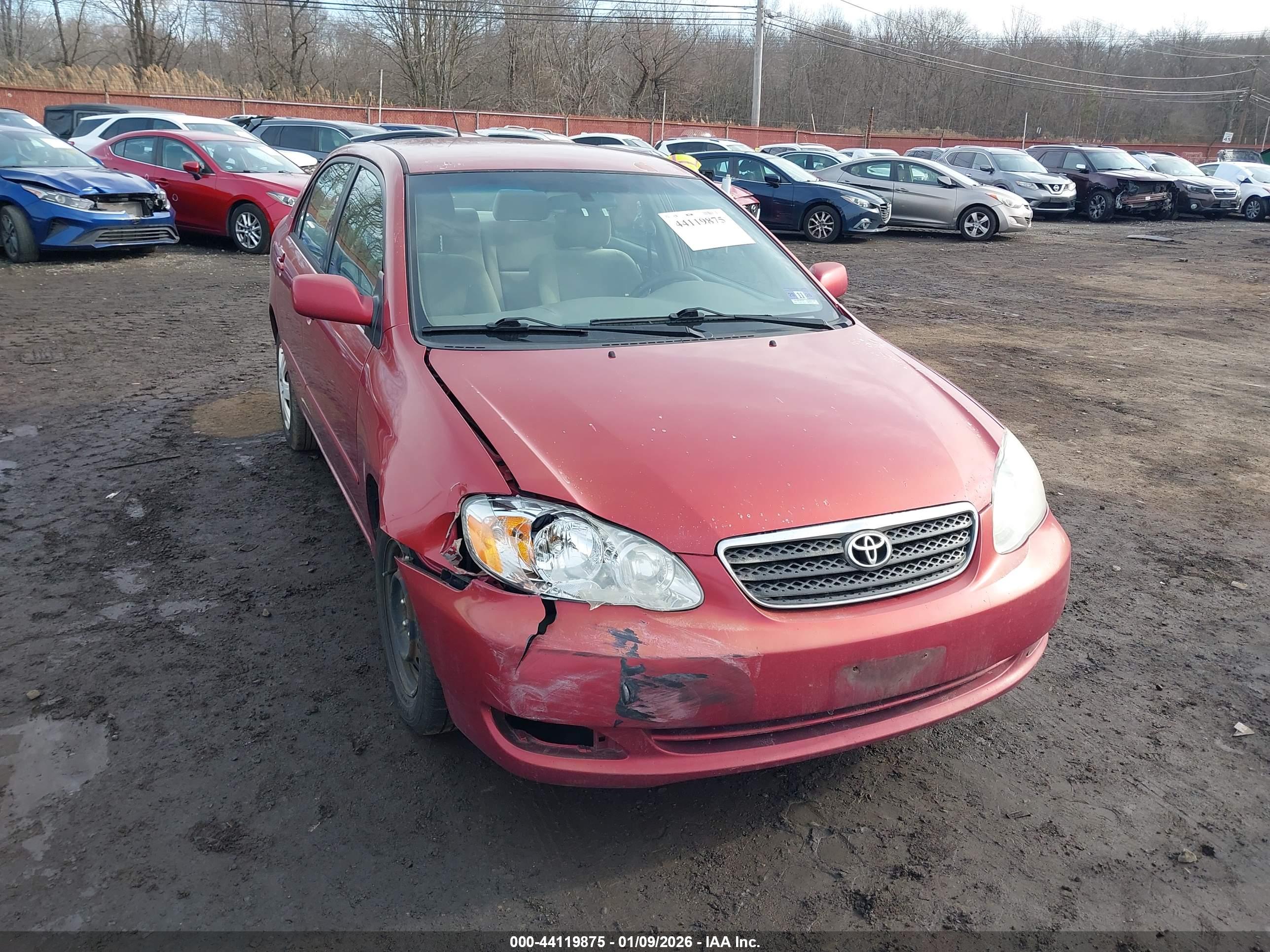 TOYOTA COROLLA image 6