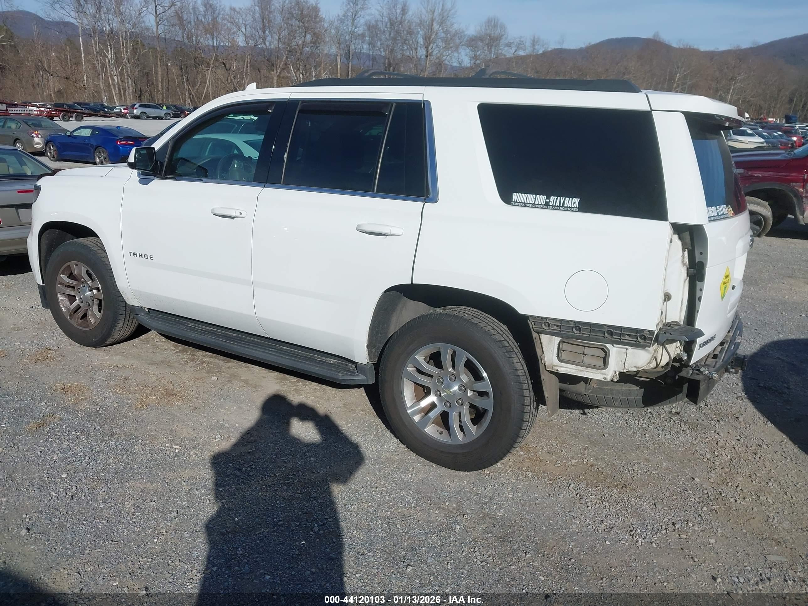 CHEVROLET TAHOE image 3