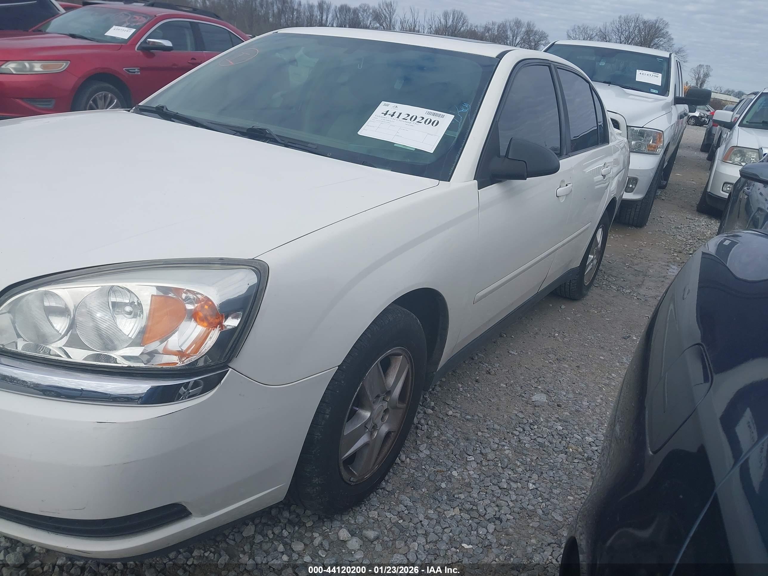 CHEVROLET MALIBU image 2