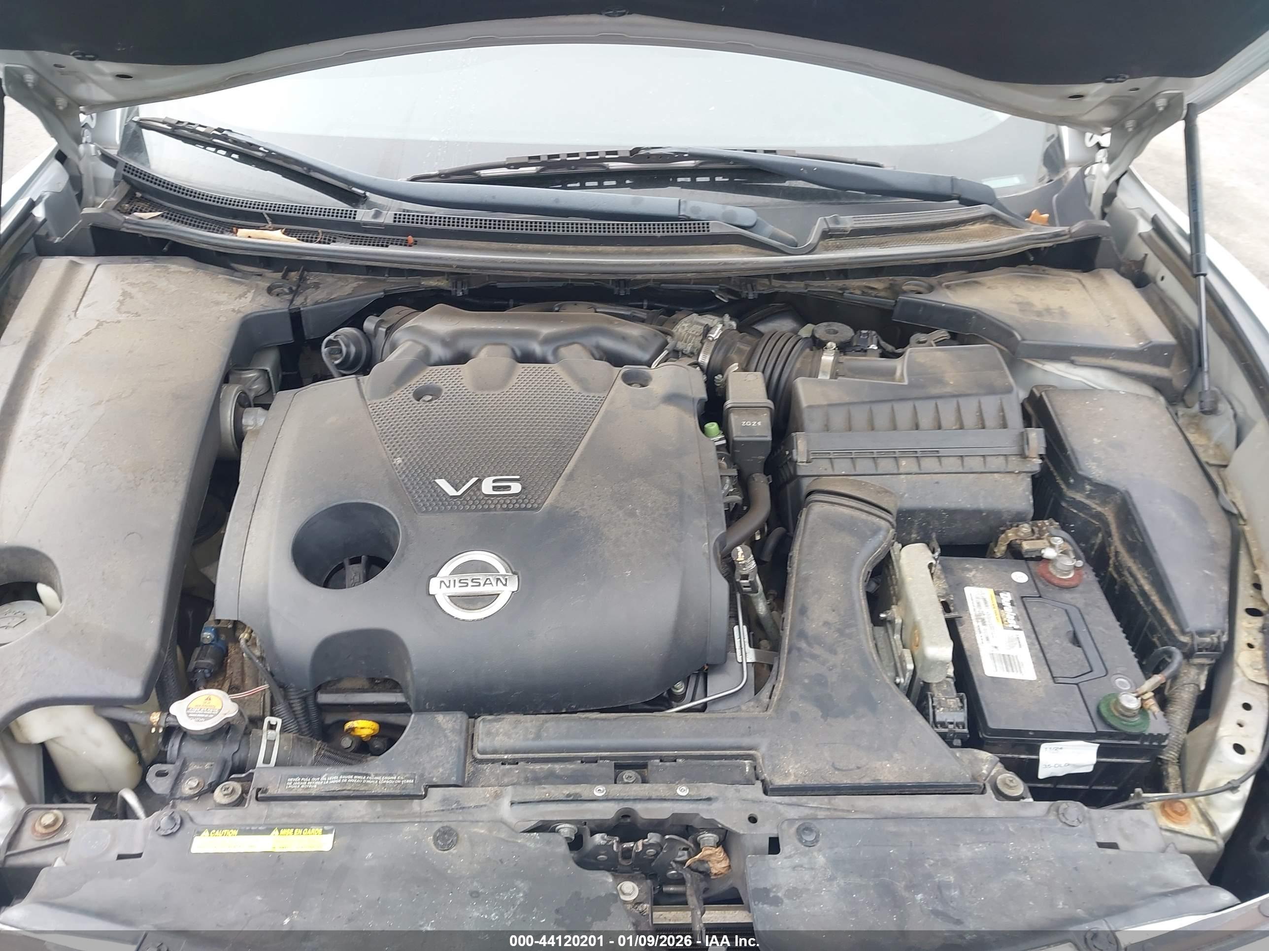 NISSAN MAXIMA image 10
