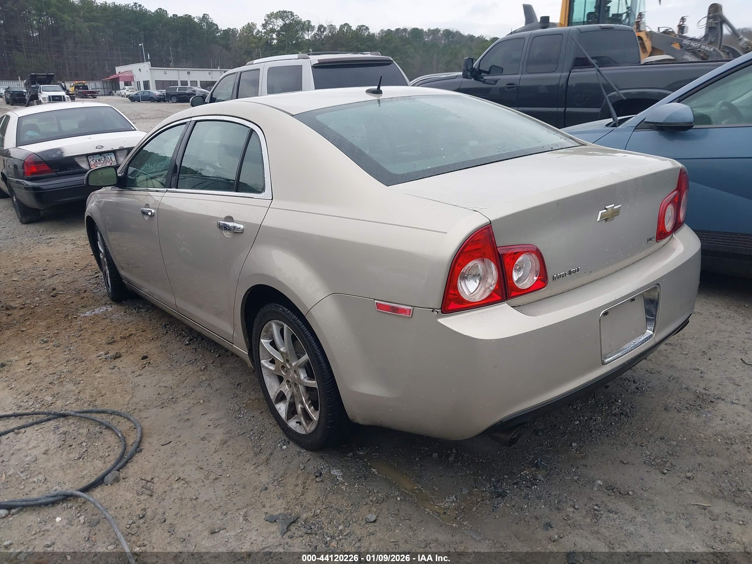 CHEVROLET MALIBU image 3