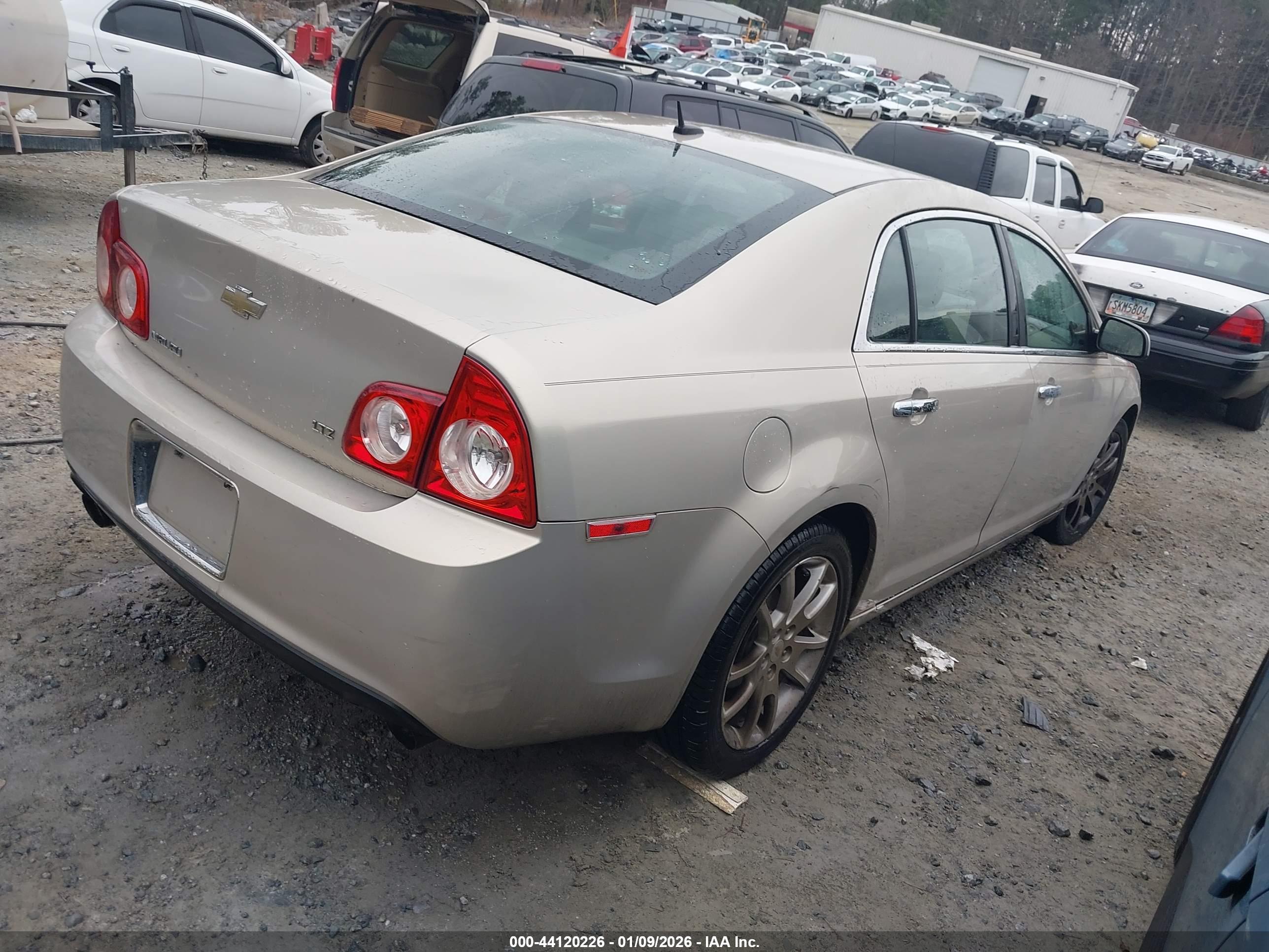 CHEVROLET MALIBU image 4
