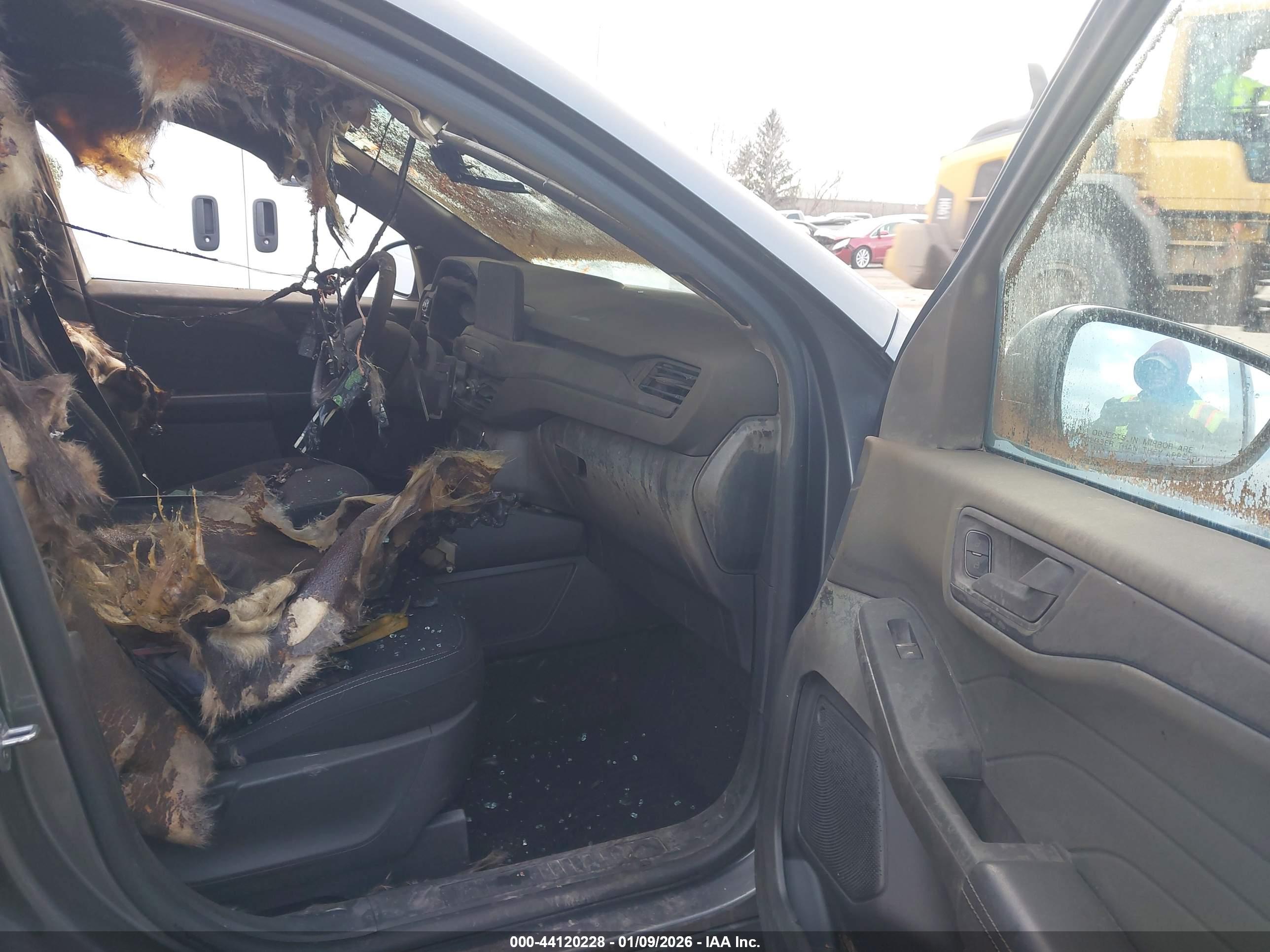 FORD ESCAPE image 5
