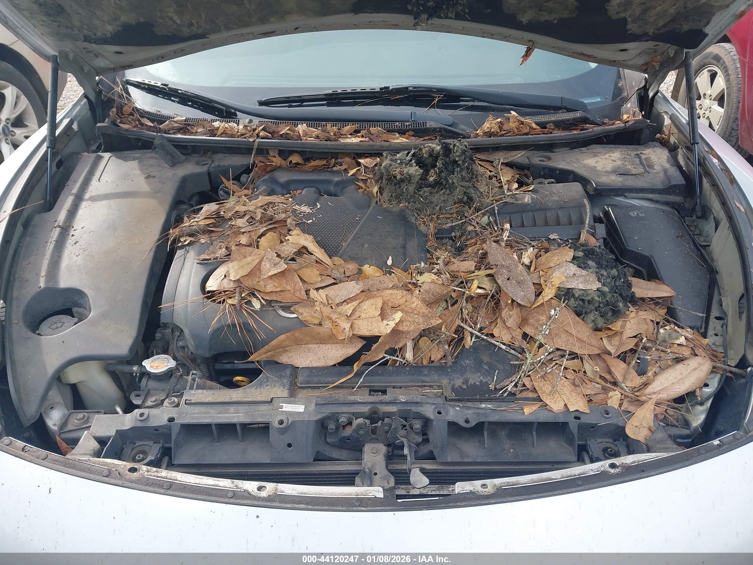 NISSAN MAXIMA image 10
