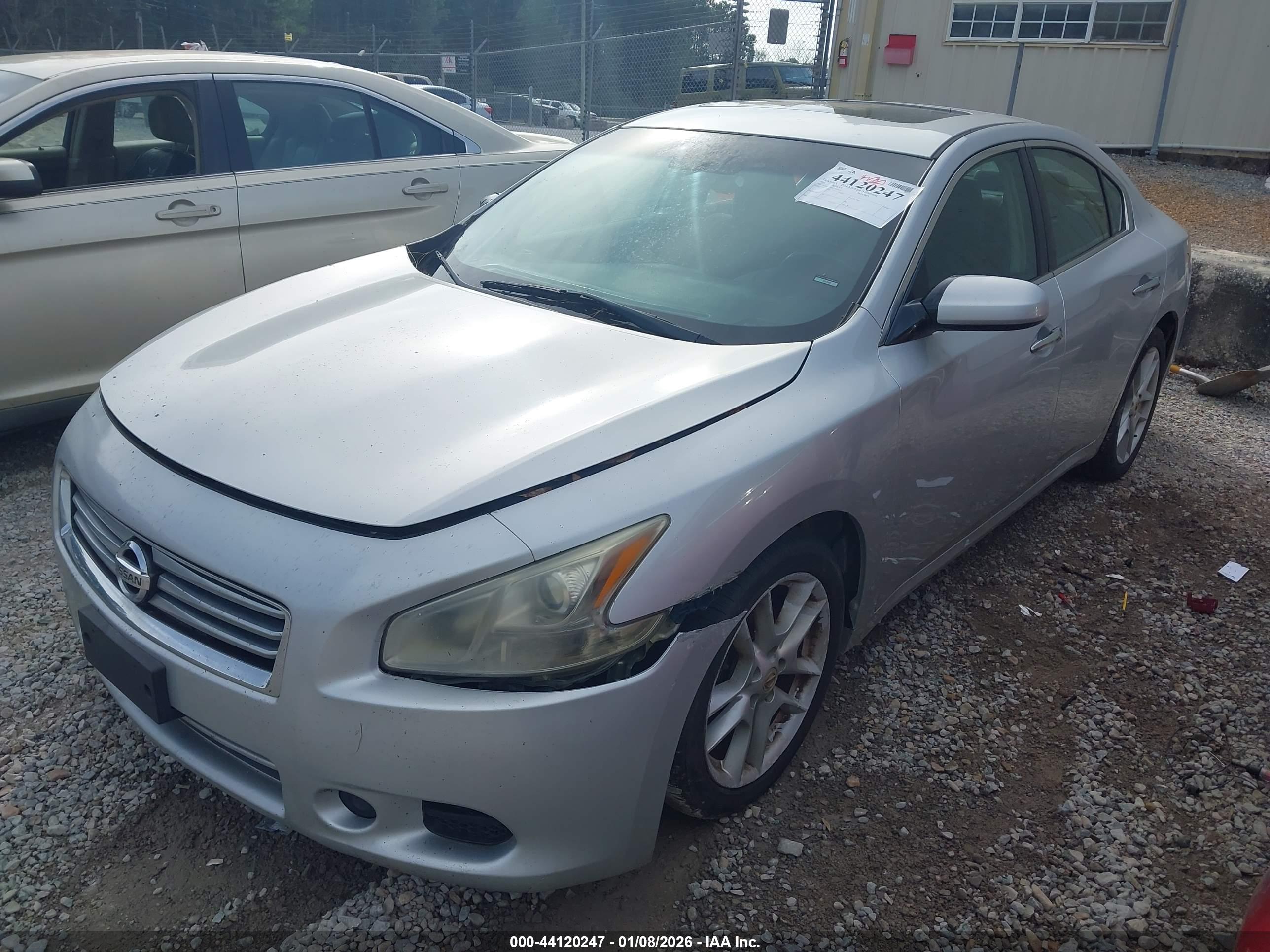 NISSAN MAXIMA image 2