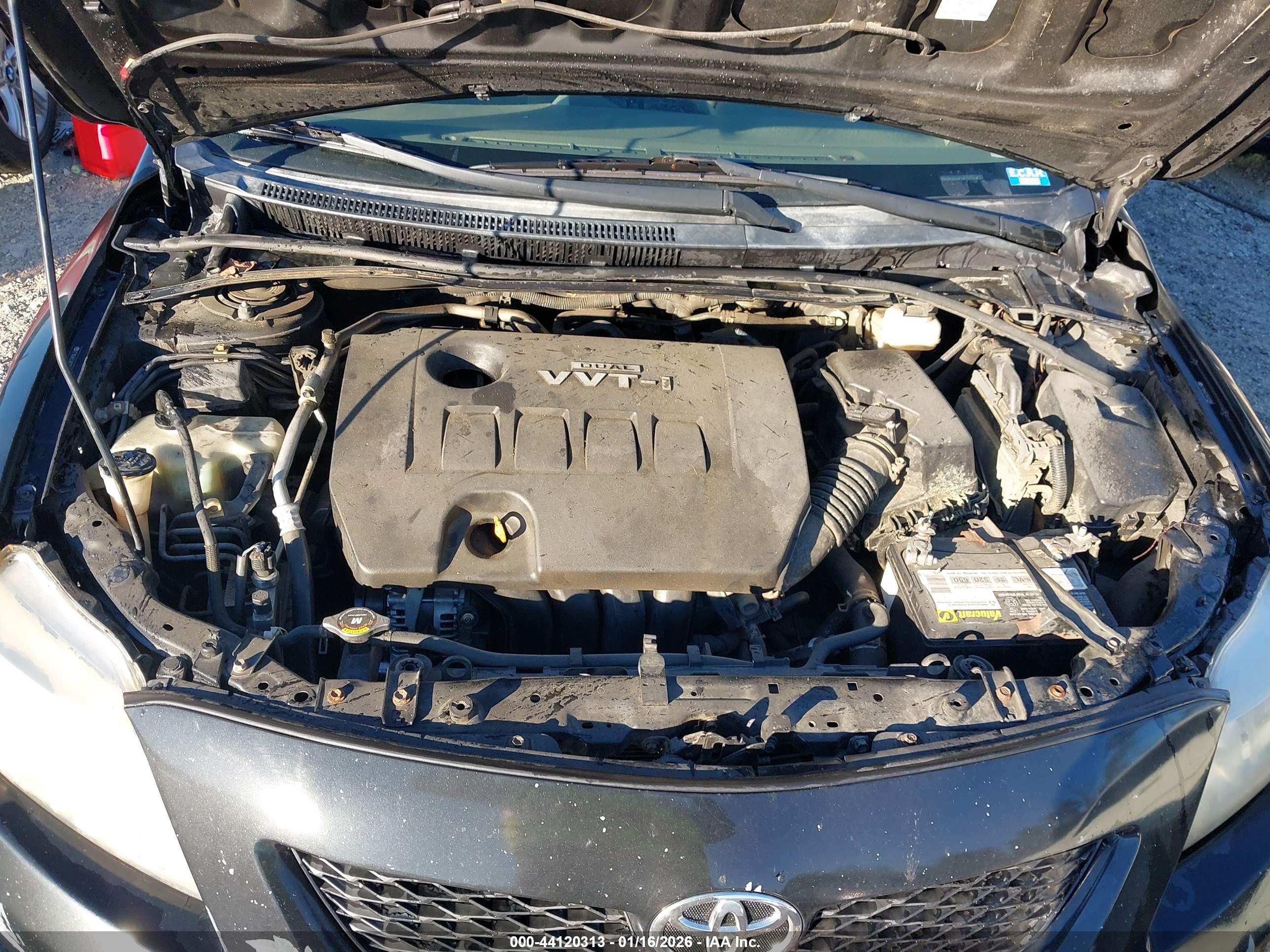TOYOTA COROLLA image 10