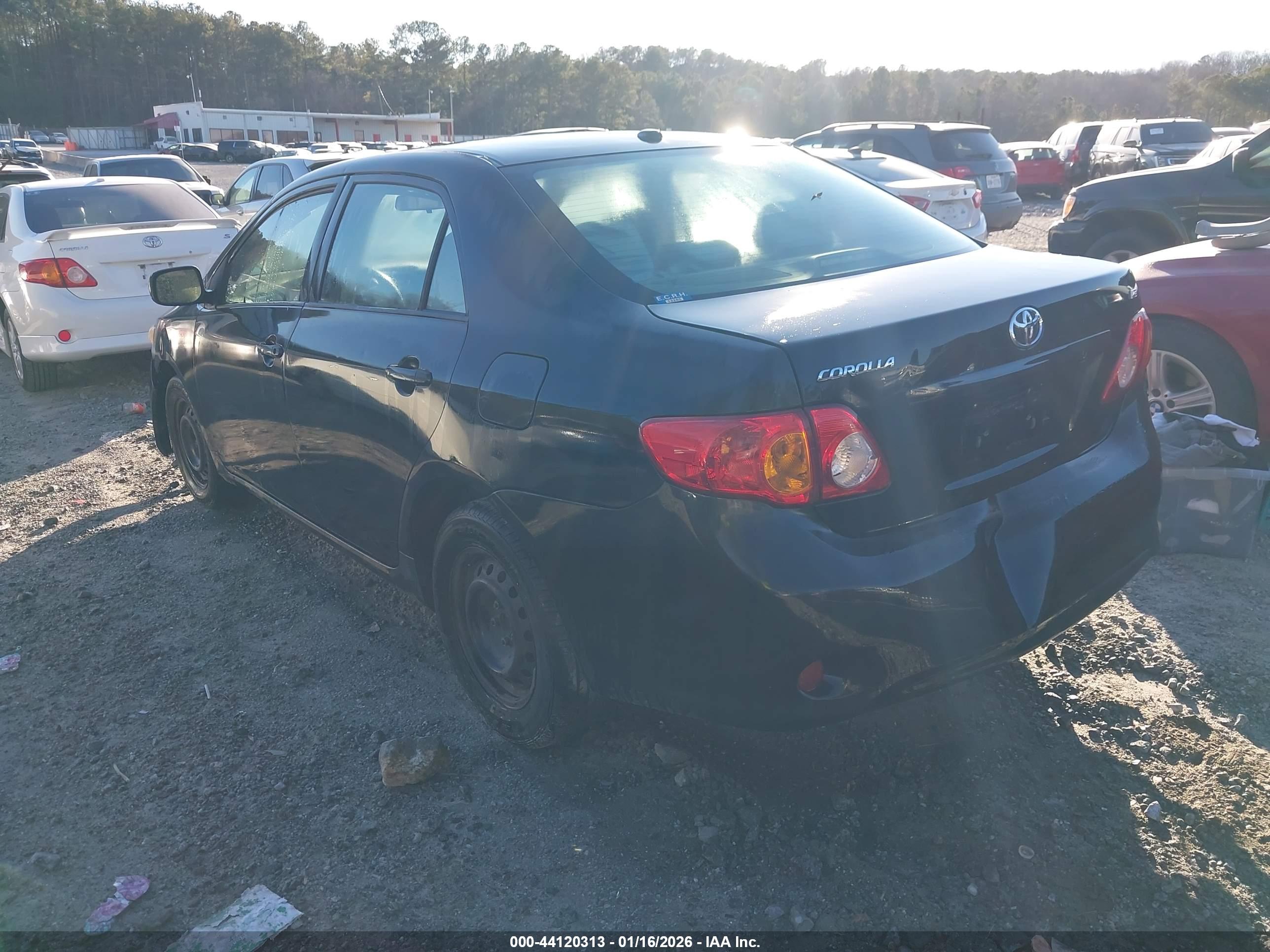 TOYOTA COROLLA image 3