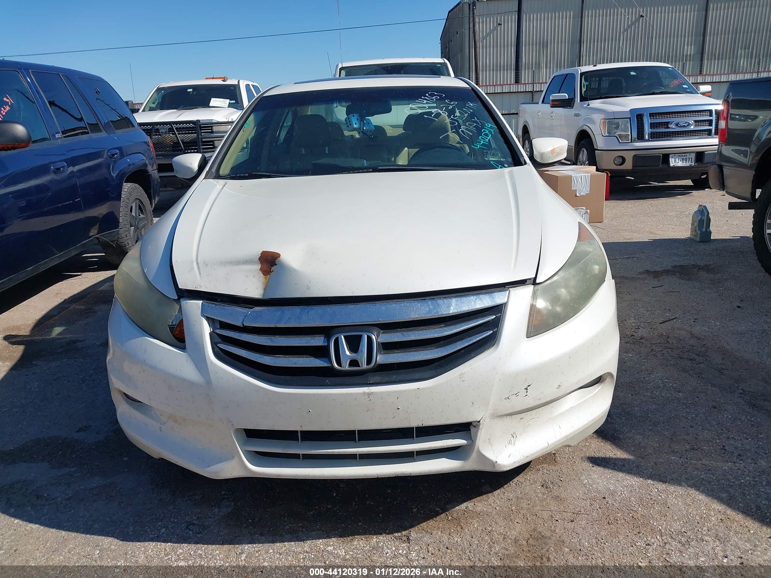 HONDA ACCORD image 6