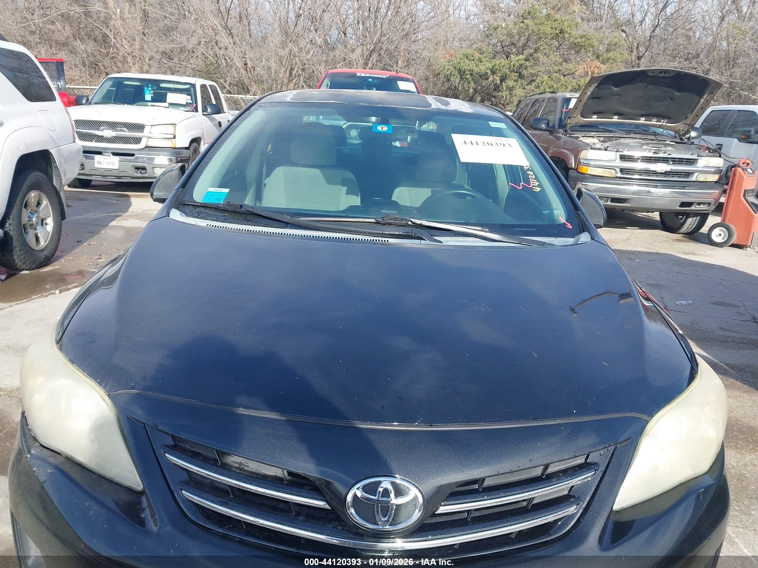 TOYOTA COROLLA image 6