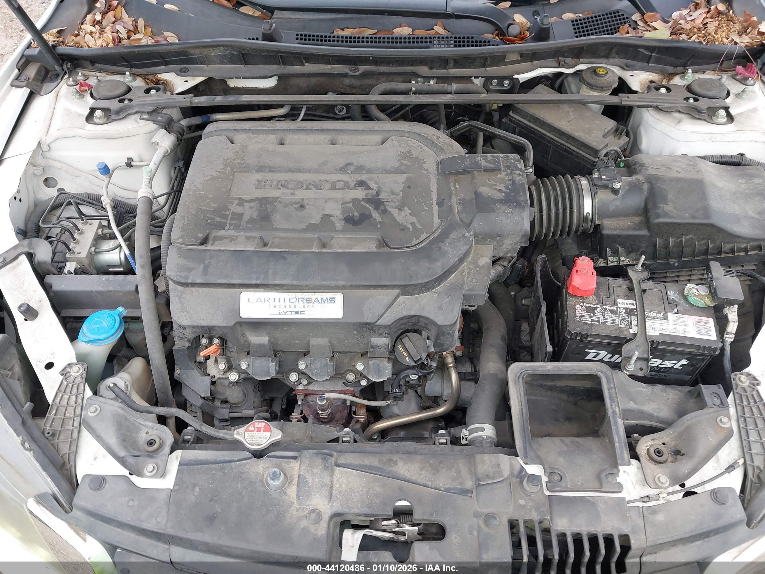 HONDA ACCORD image 10