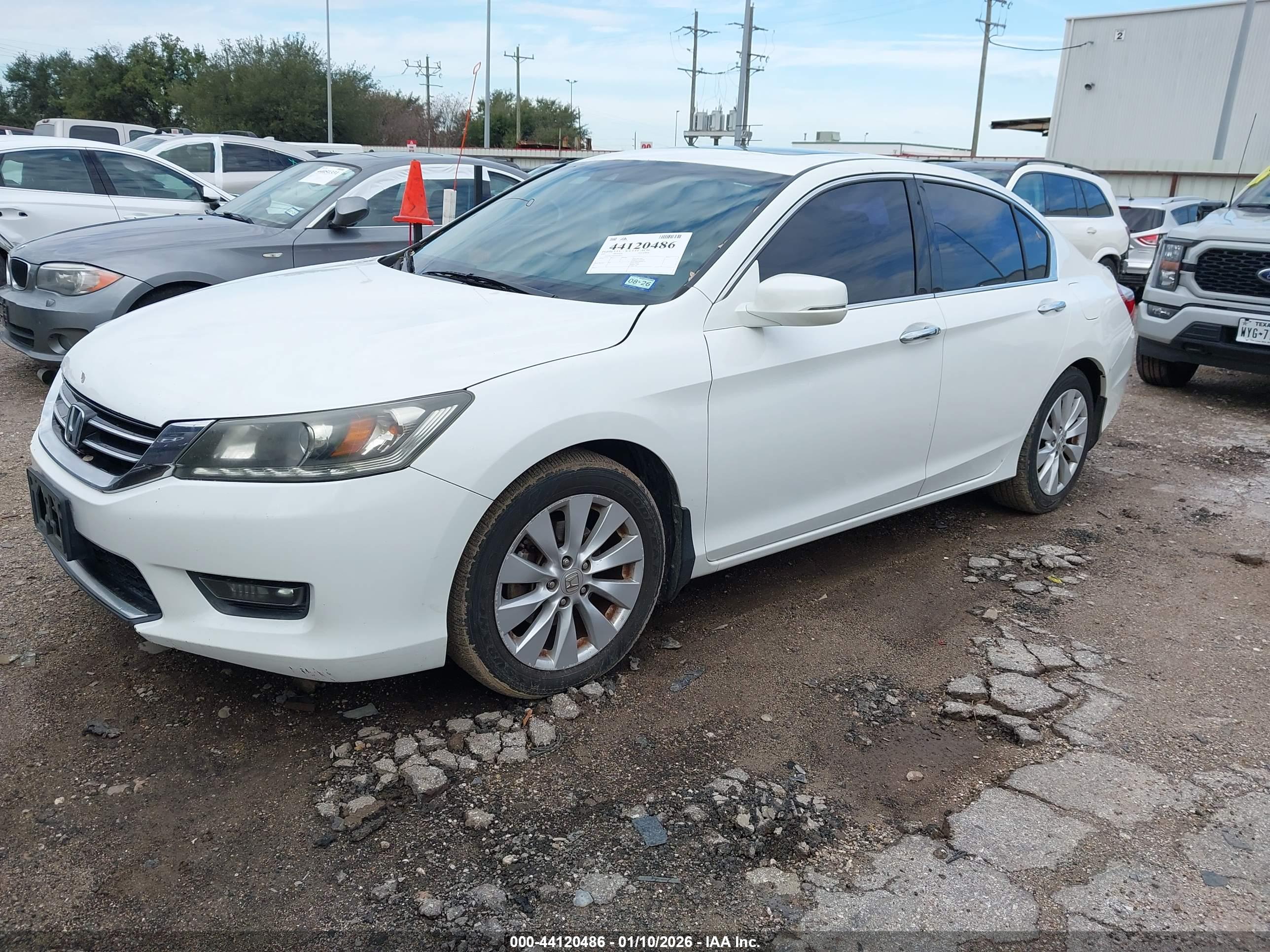 HONDA ACCORD image 2