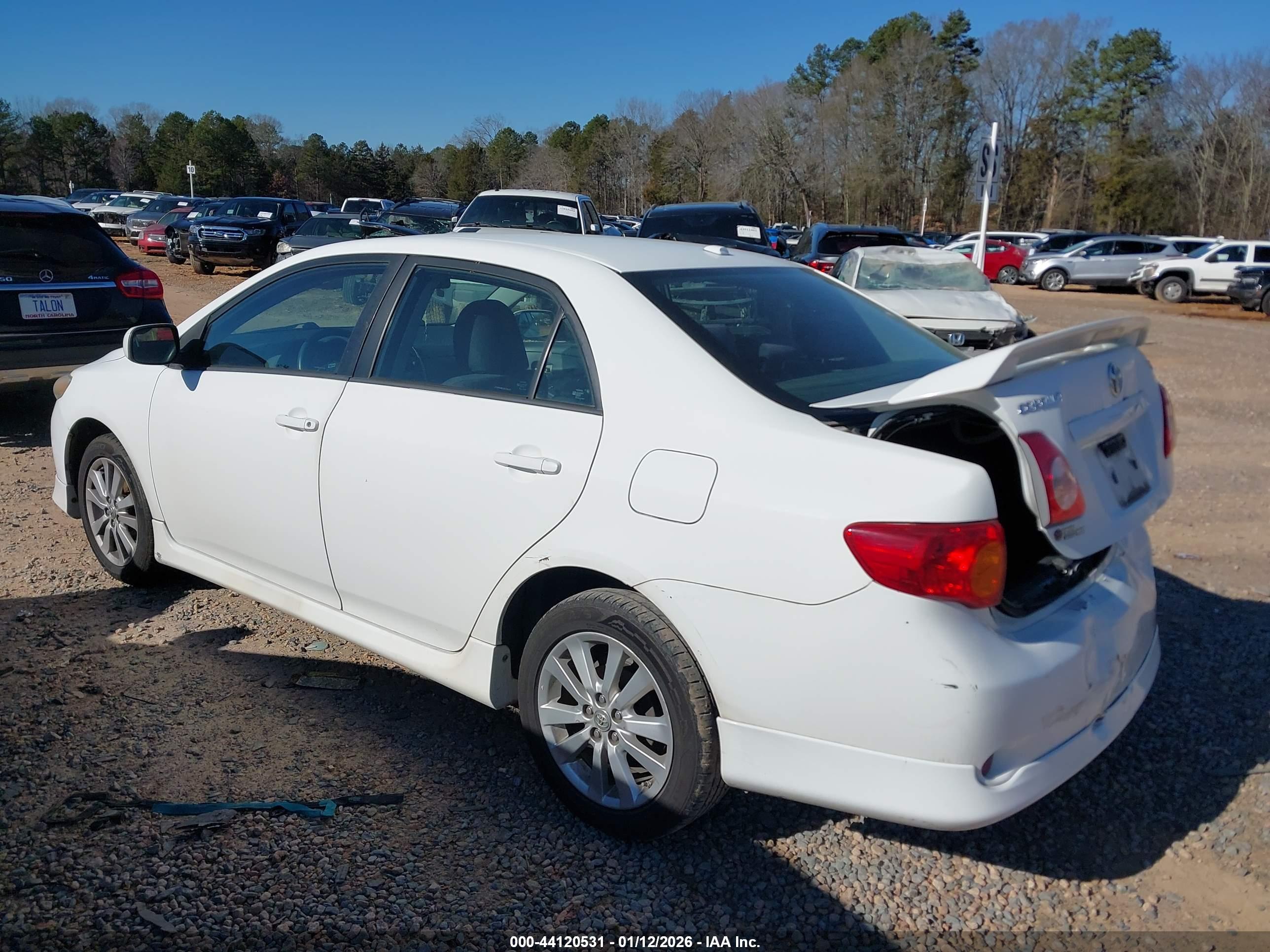 TOYOTA COROLLA image 3