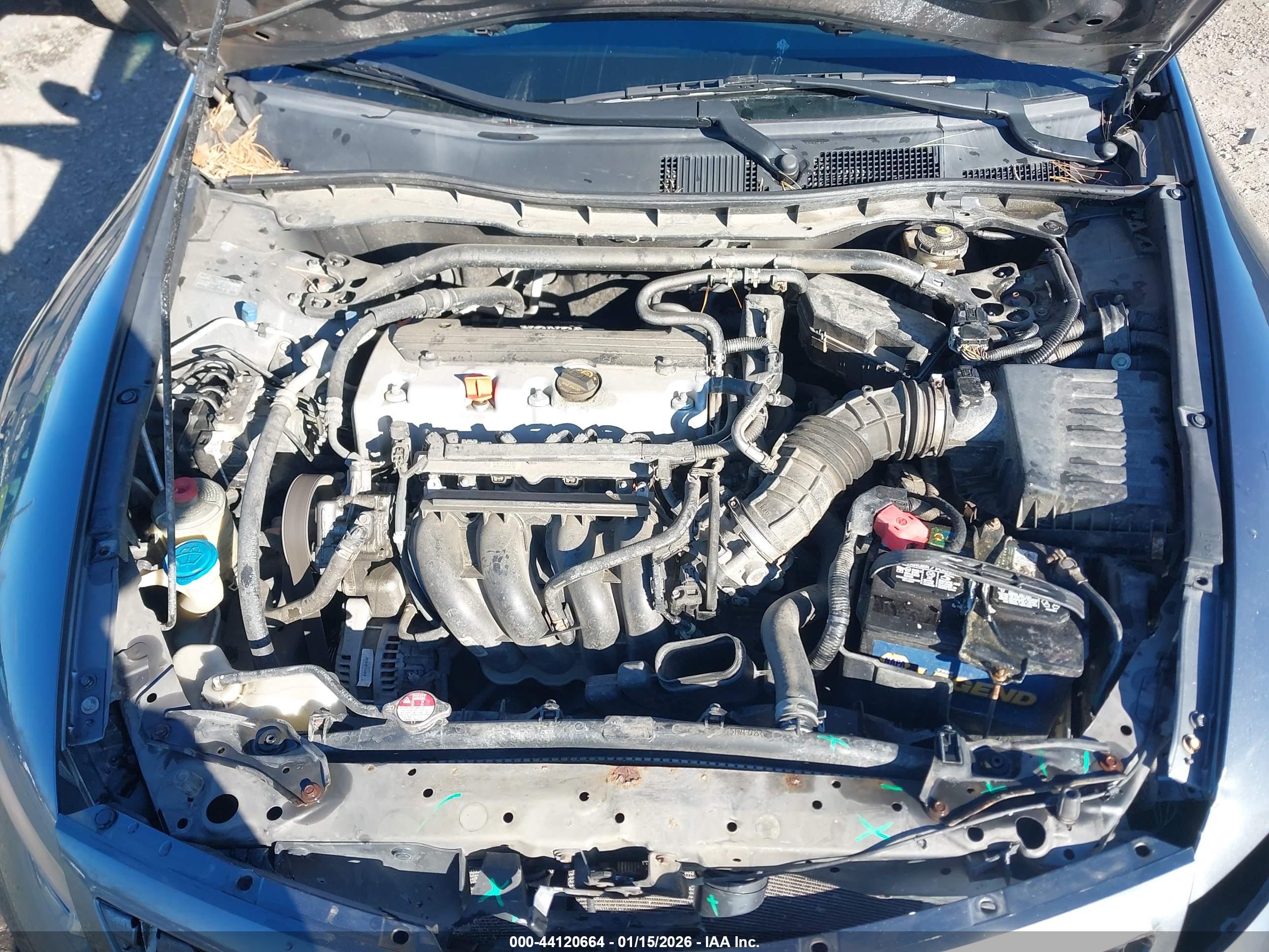 HONDA ACCORD image 10