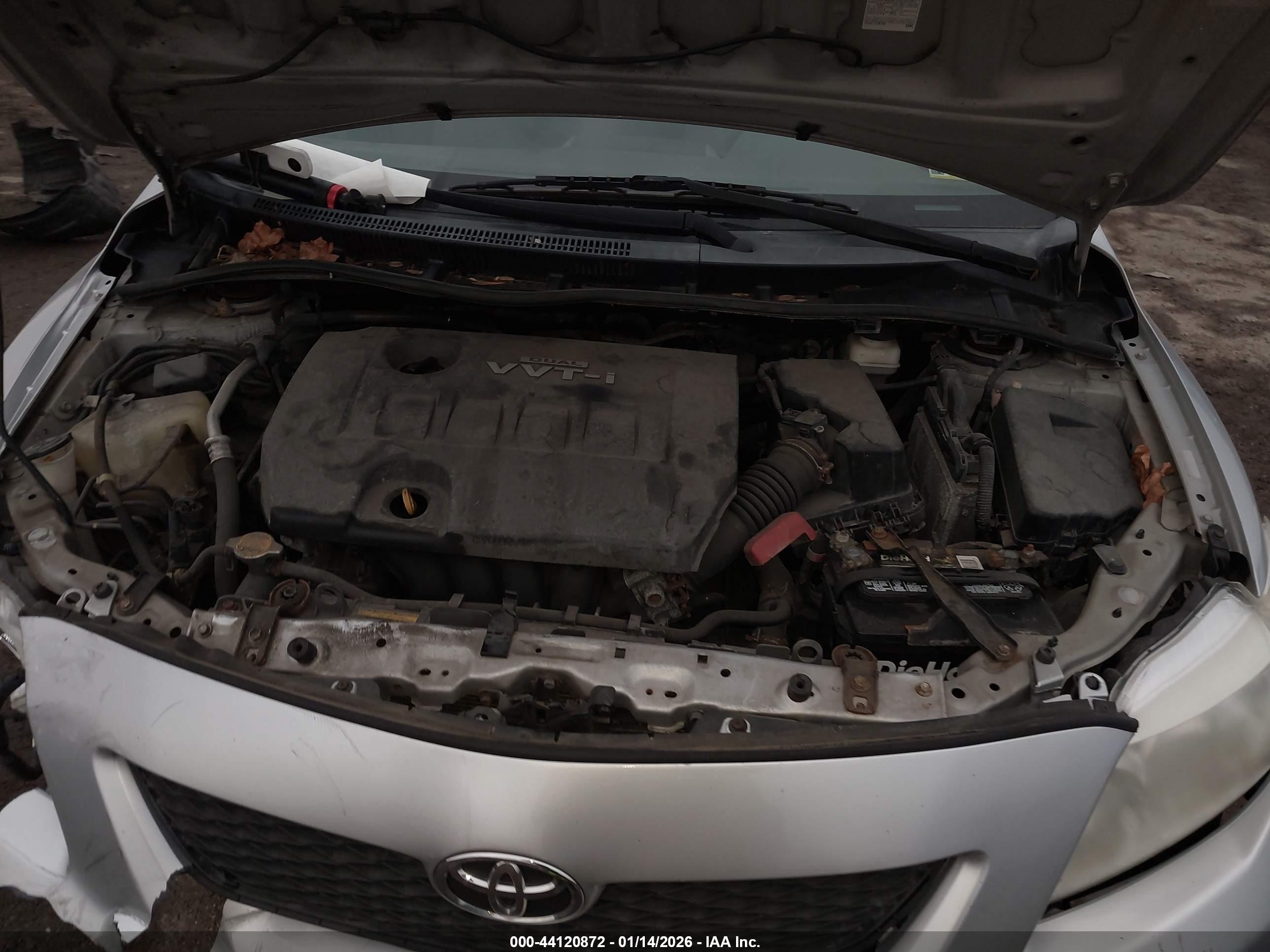 TOYOTA COROLLA image 10