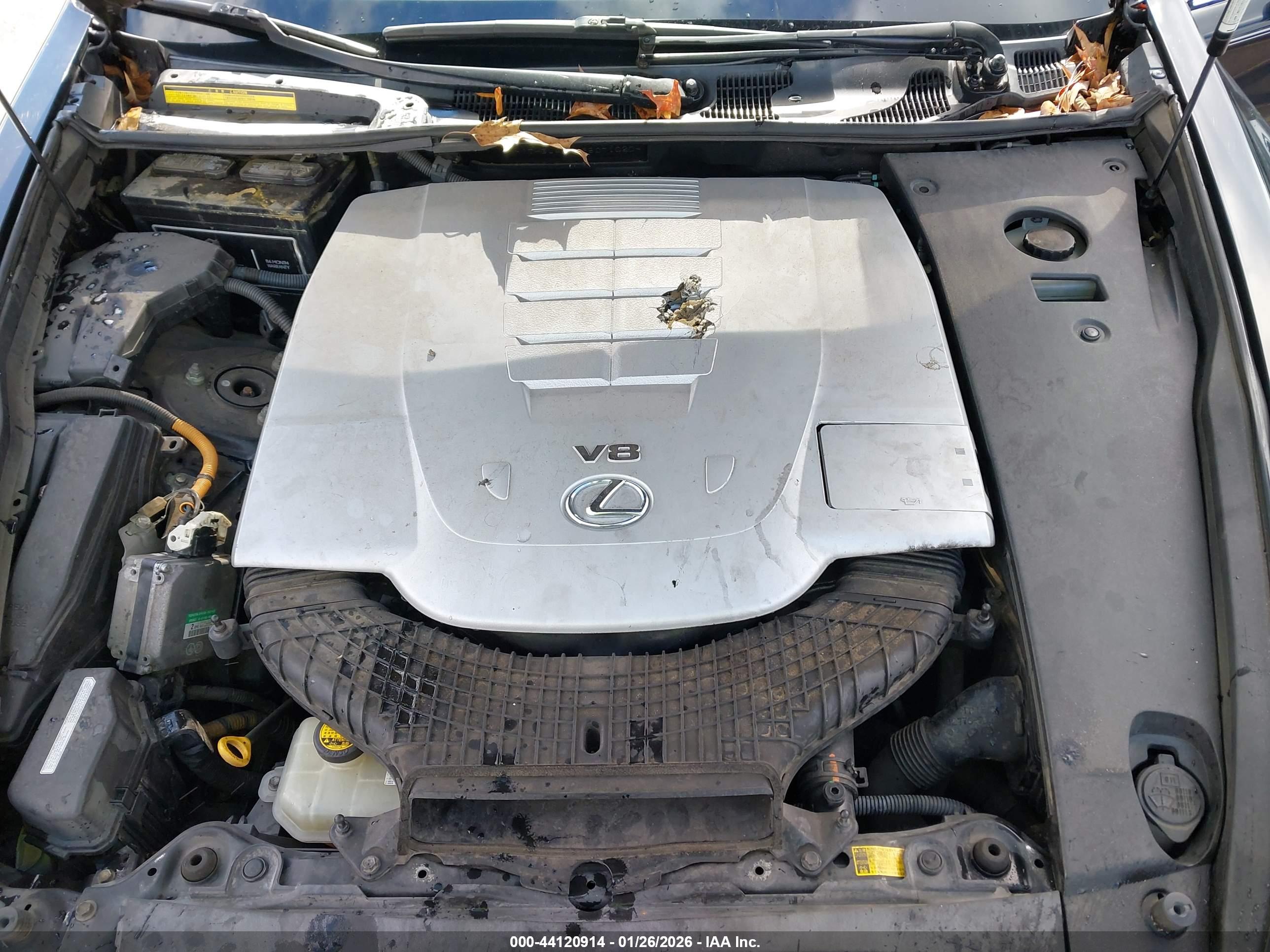 LEXUS LS image 10