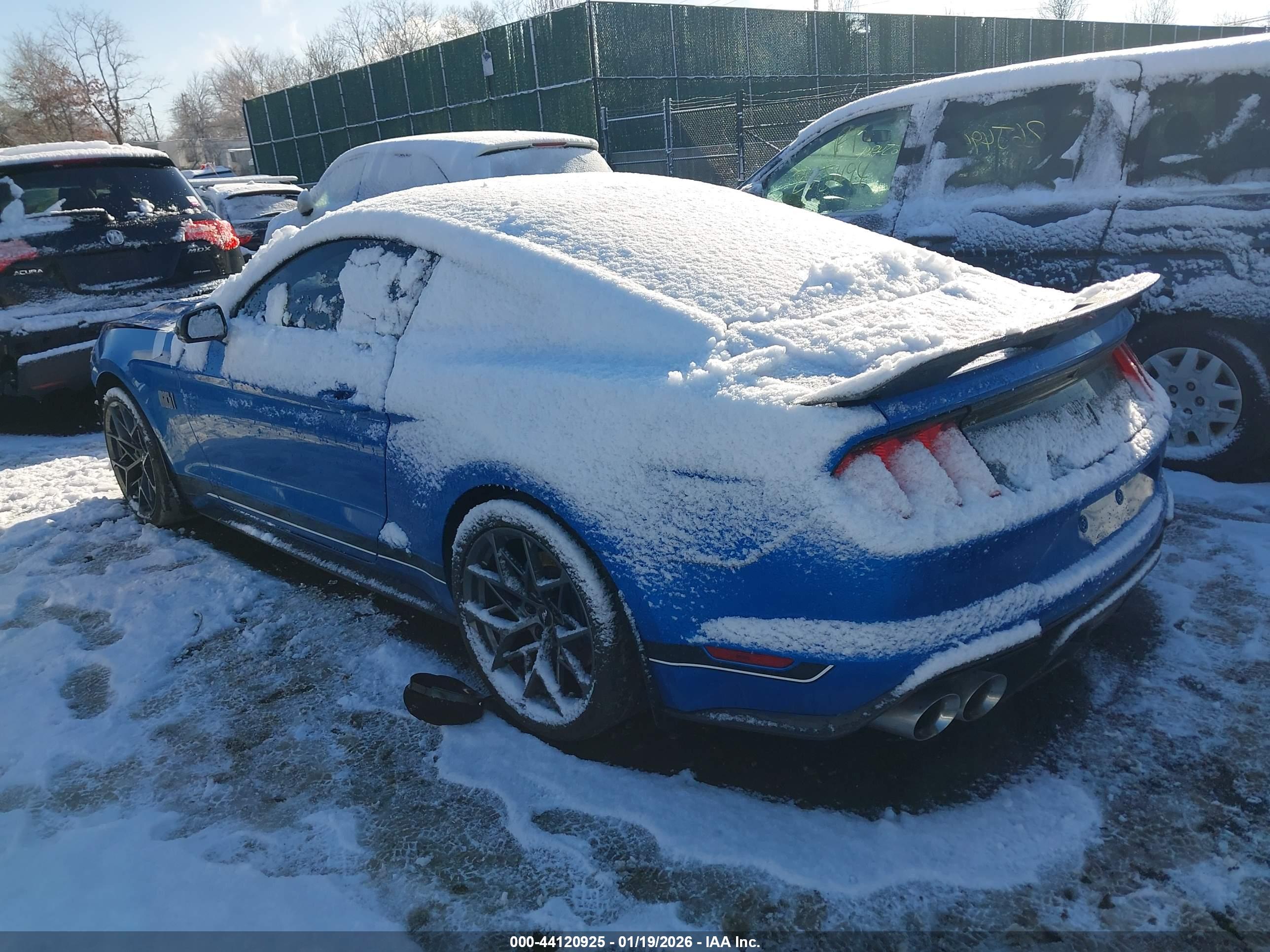 FORD MUSTANG image 3