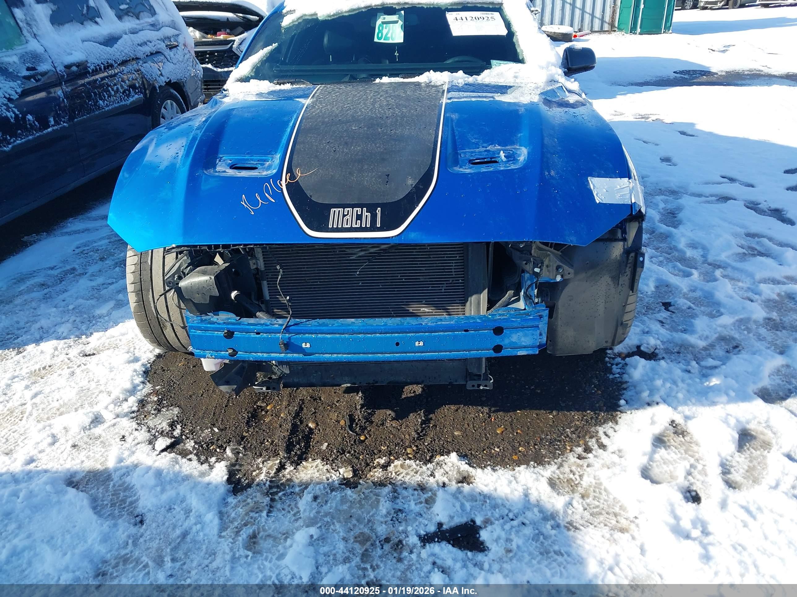 FORD MUSTANG image 6